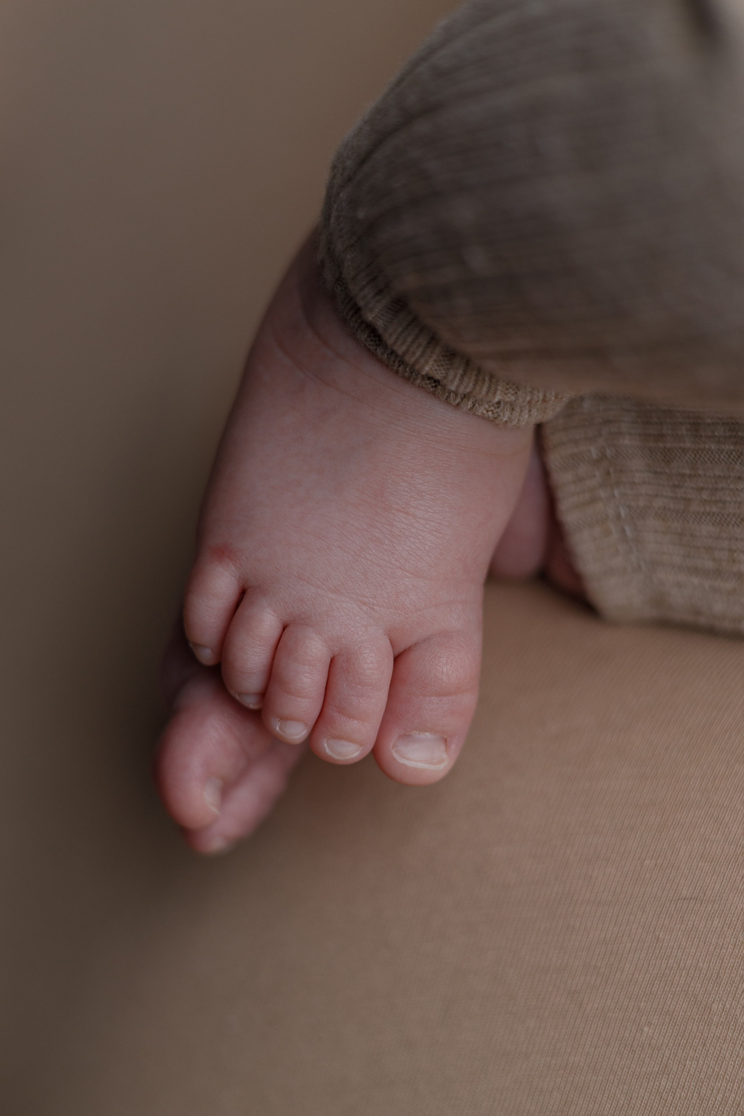 Арсений. Евгения Горбунова фотограф новорожденных в Новом Уренгое