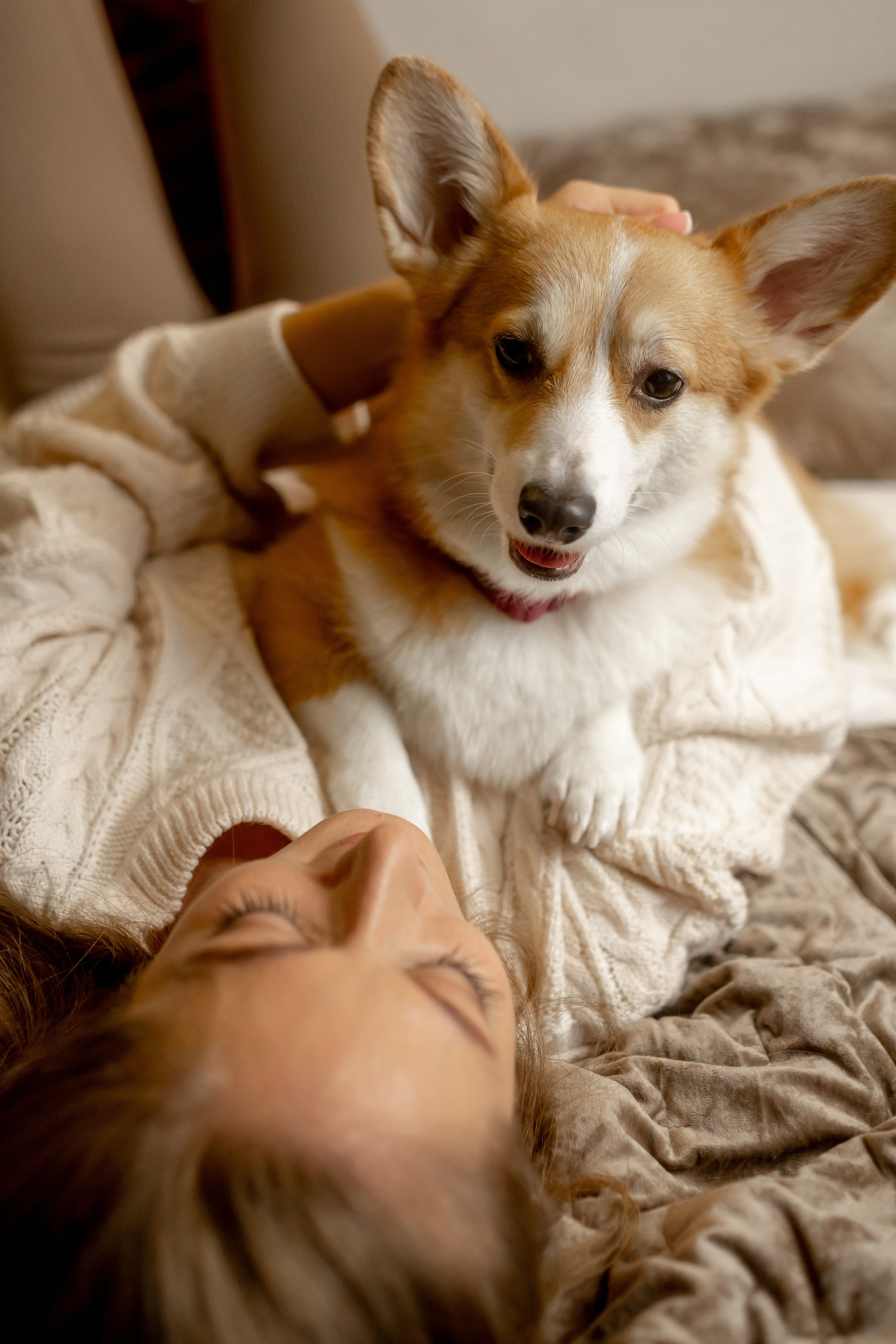 Новогодний хвостик. Свадебный и семейный фотограф в Севастополе и в Крыму Анастасия Корчак