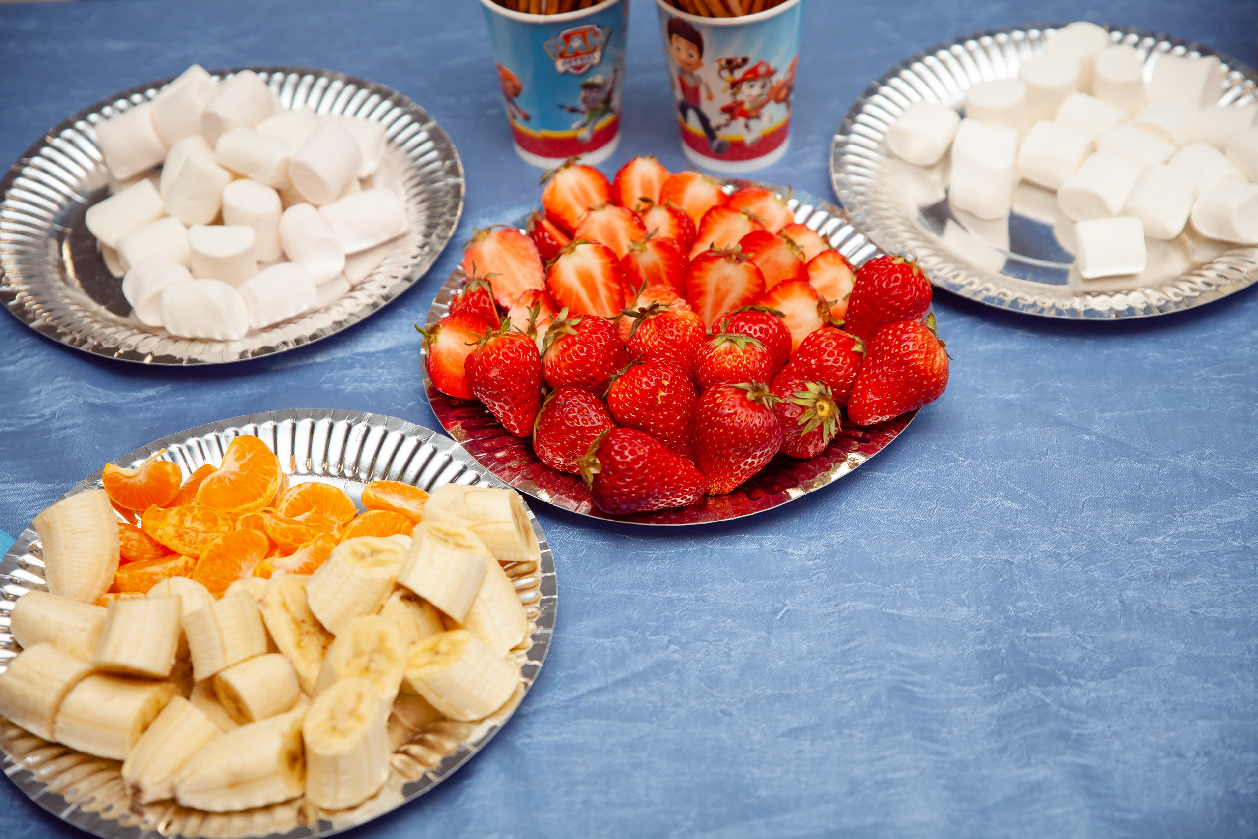 День рождения Дианы. Сайт фотографа Марина Ефанова