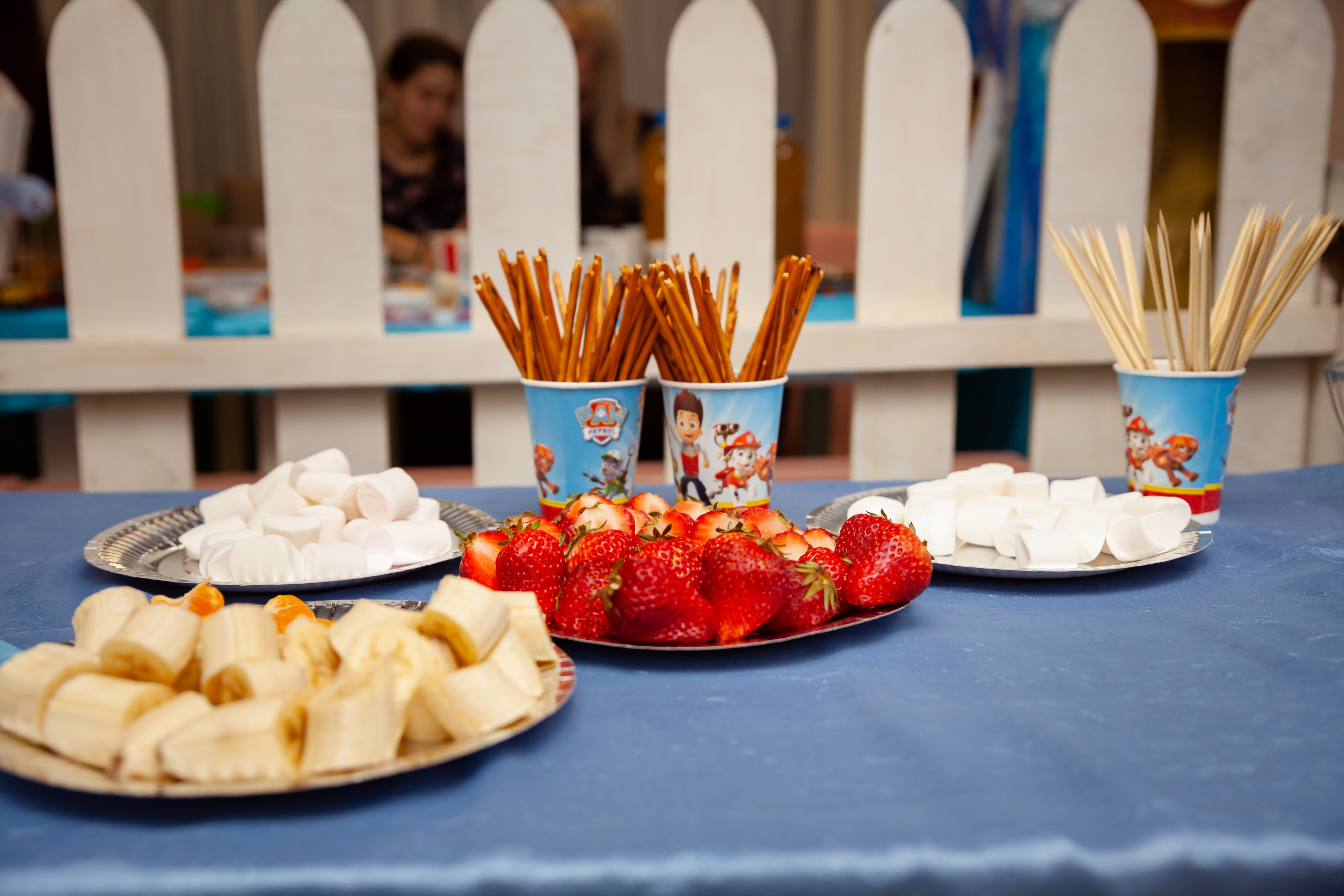 День рождения Дианы. Сайт фотографа Марина Ефанова