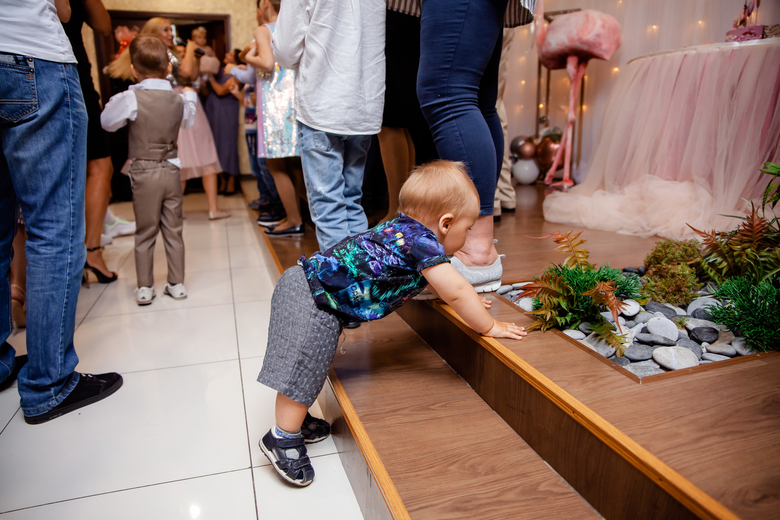 Годовасие Авроры. Сайт фотографа Марина Ефанова