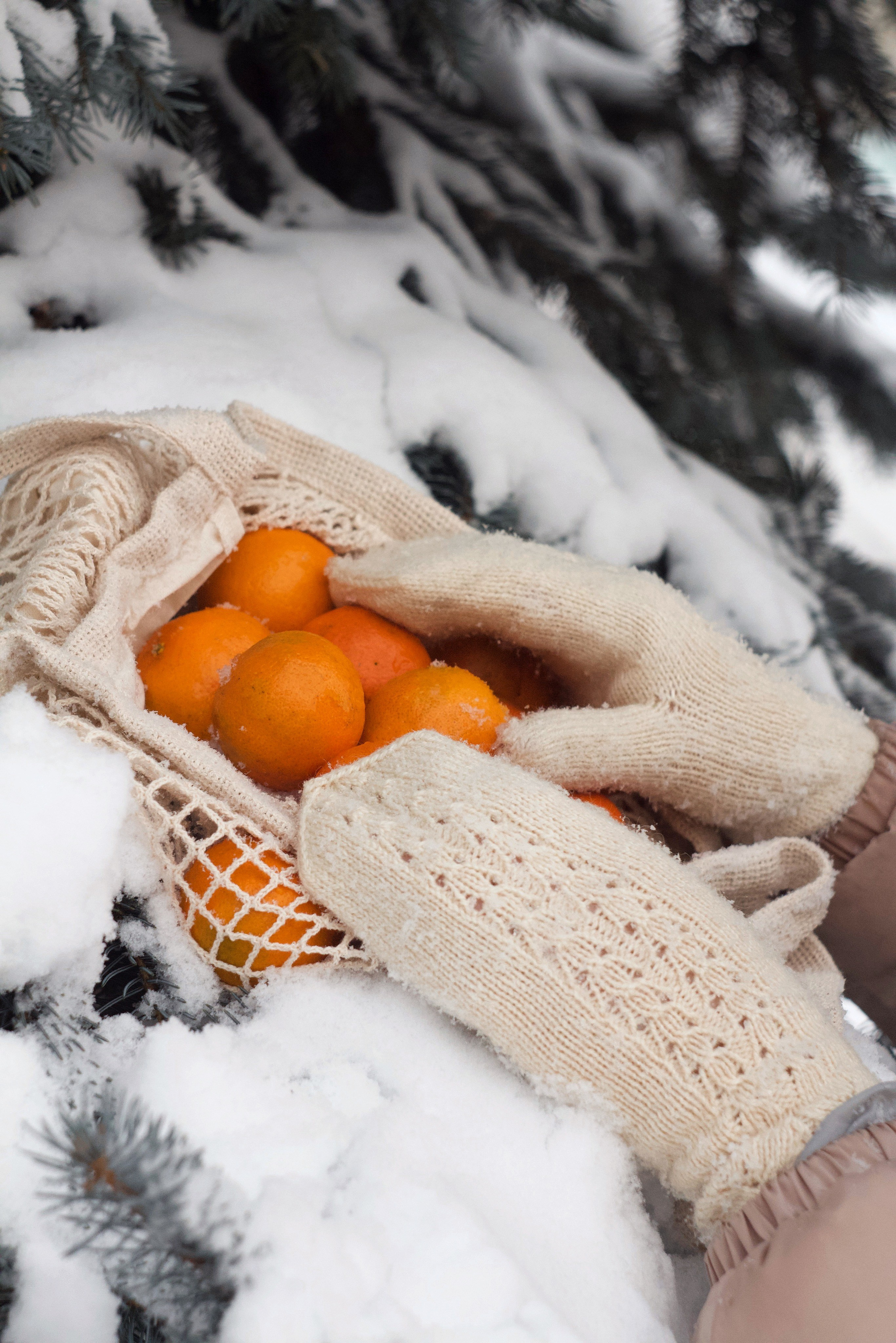 Зимний январь. Photography Eva