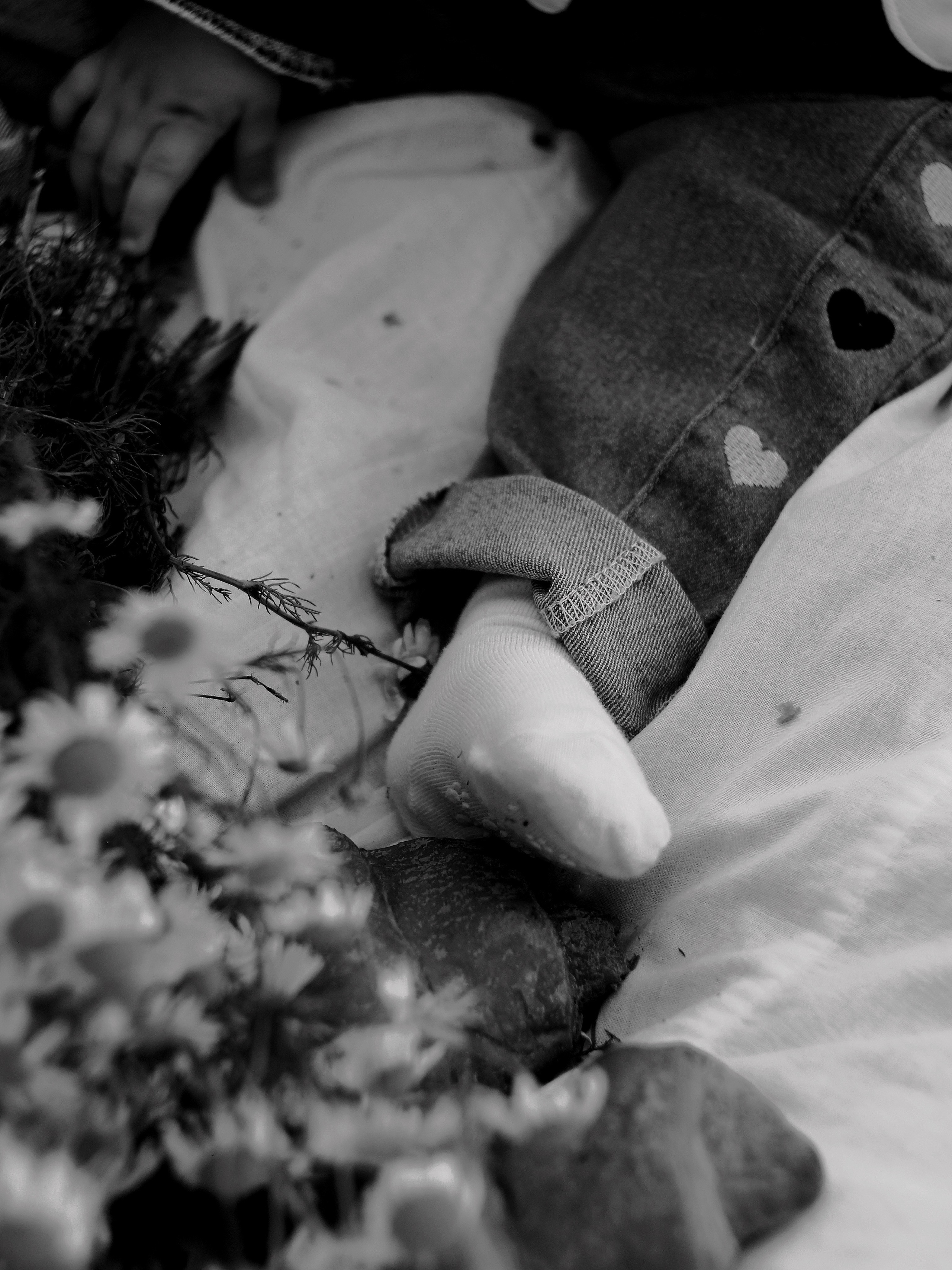 Семейная. Photography Eva