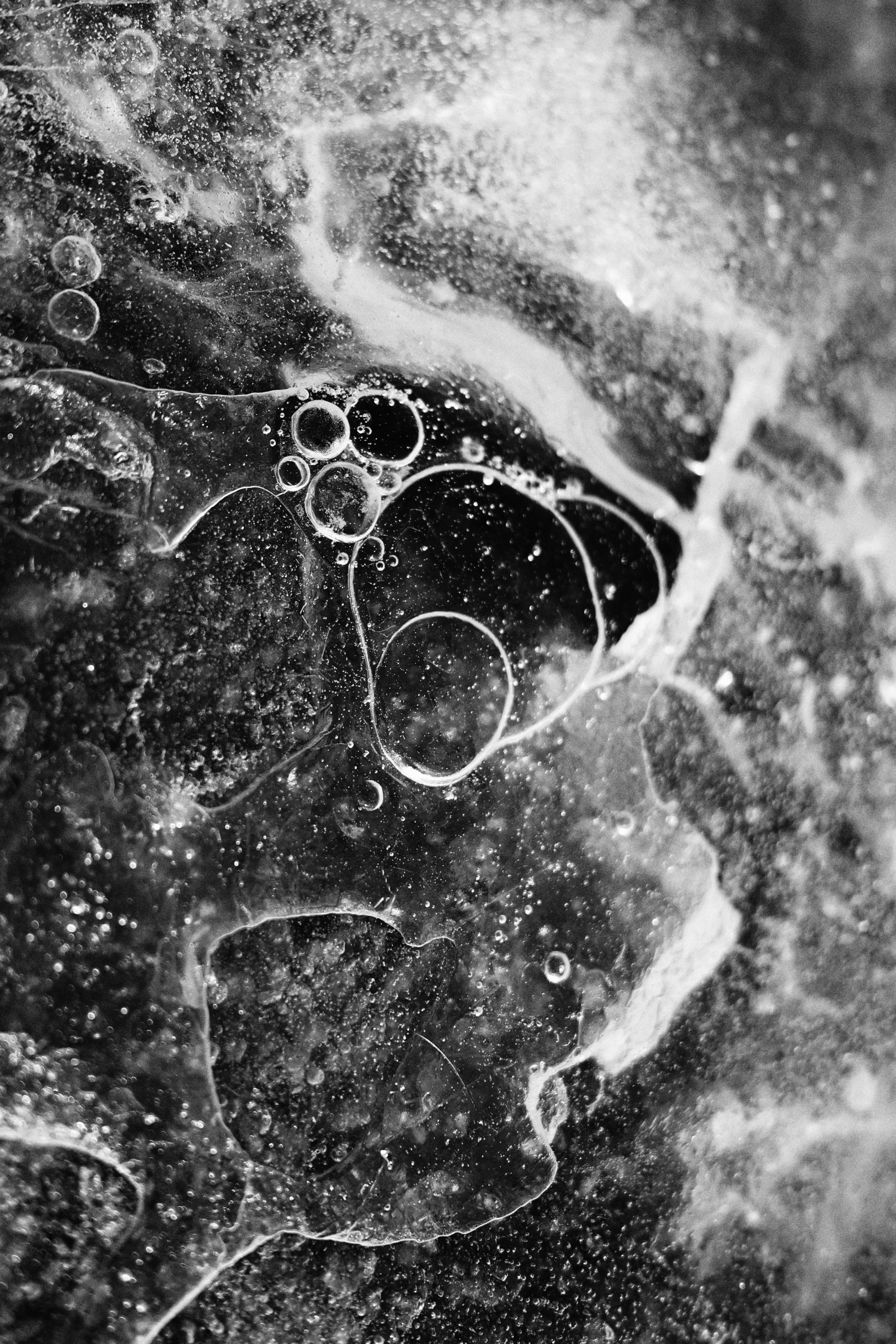 Репортажный, портретный фотограф, фотохудожник Катя Санникова