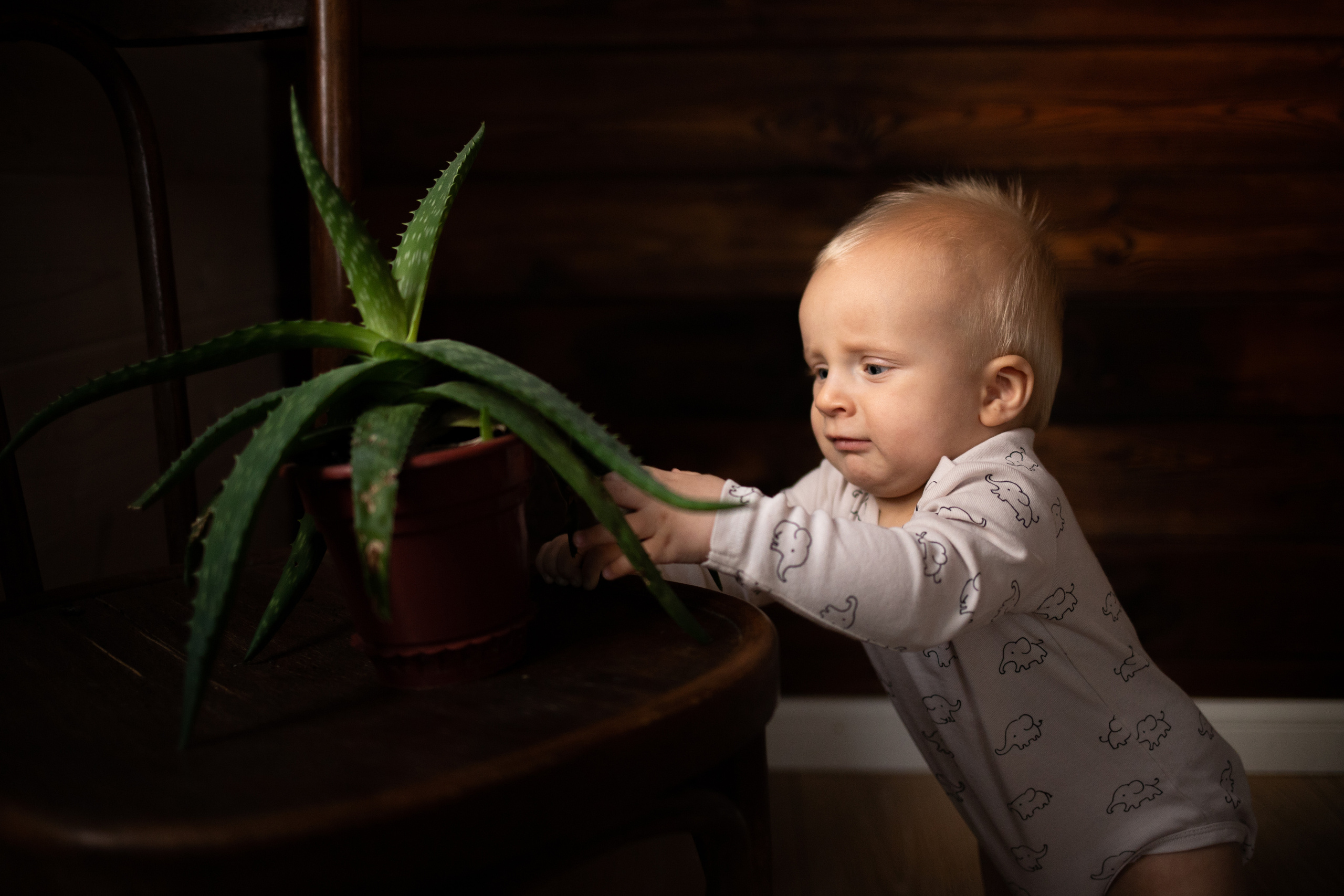 Детский портрет. Женский, детский и семейный фотограф Анастасия Федюкина в Москве