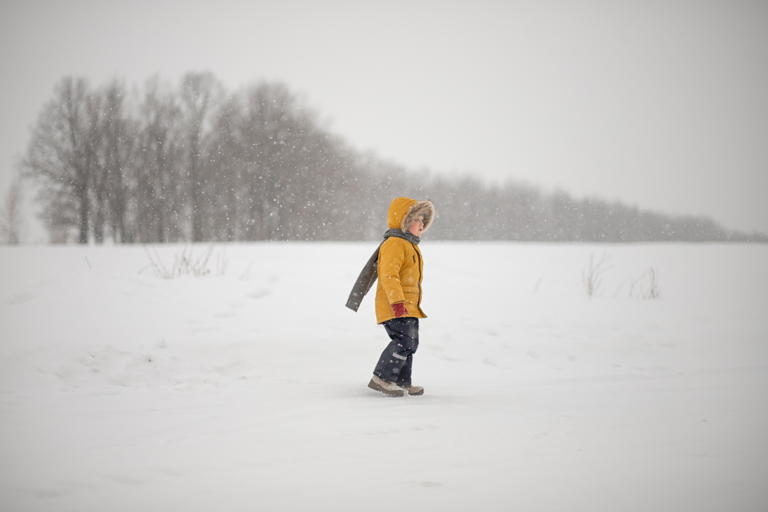 Детский портрет. Женский, детский и семейный фотограф Анастасия Федюкина в Москве