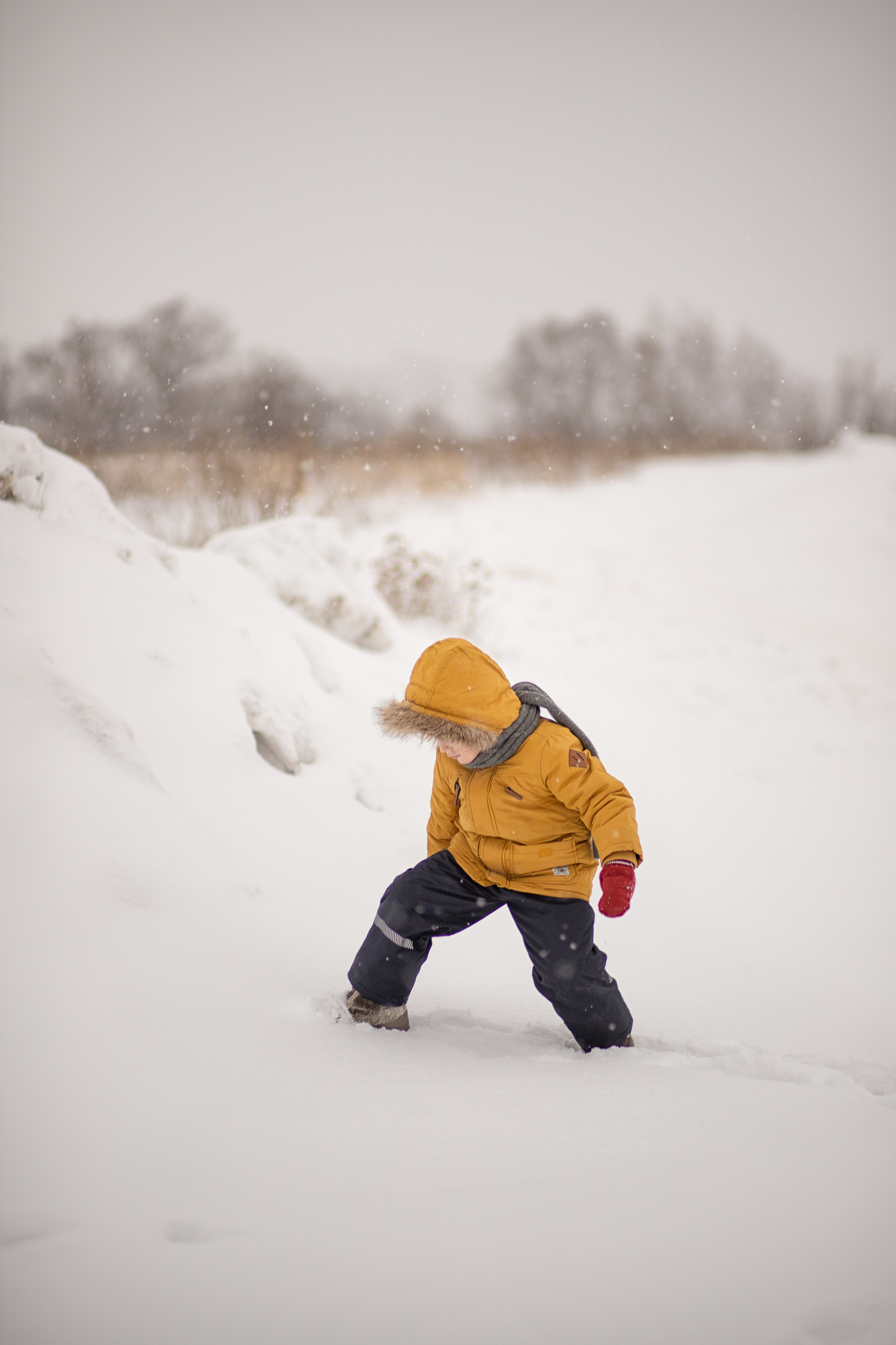 Детский портрет. Женский, детский и семейный фотограф Анастасия Федюкина в Москве
