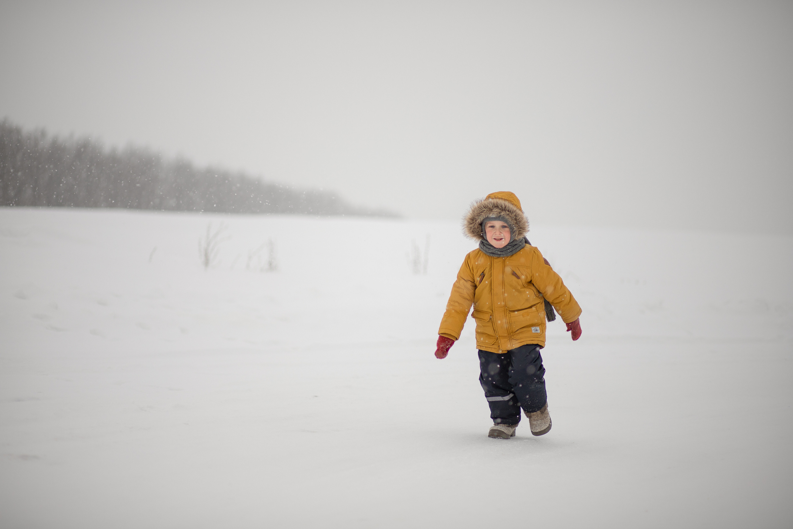 Детский портрет. Женский, детский и семейный фотограф Анастасия Федюкина в Москве