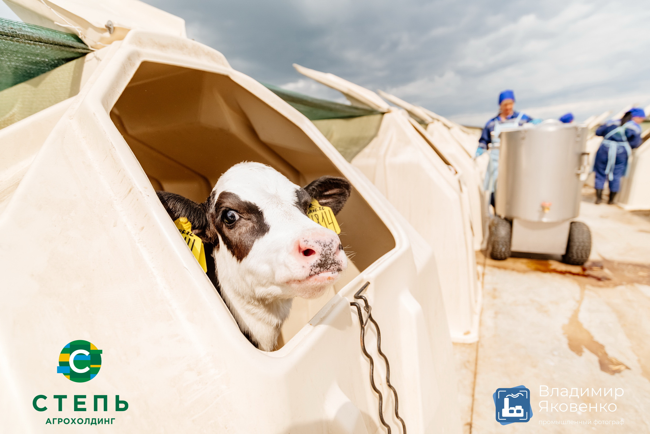 Серия съёмок для агрохолдинга «СТЕПЬ». Промышленный фотограф в Ростовской области Владимир Яковенко