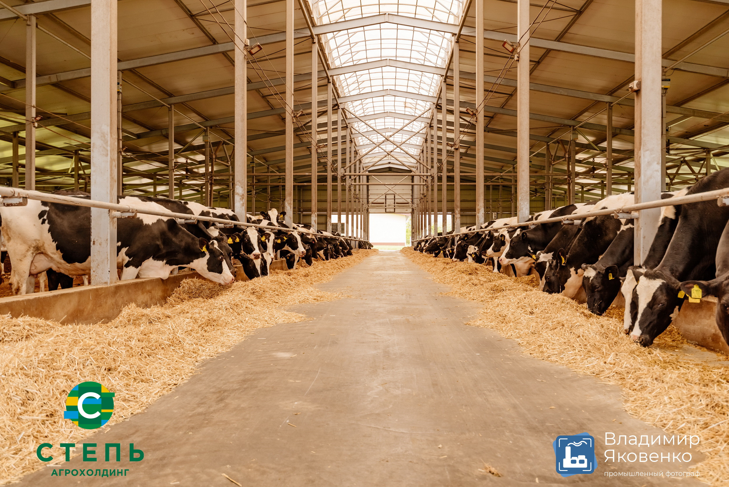 Серия съёмок для агрохолдинга «СТЕПЬ». Промышленный фотограф в Ростовской области Владимир Яковенко