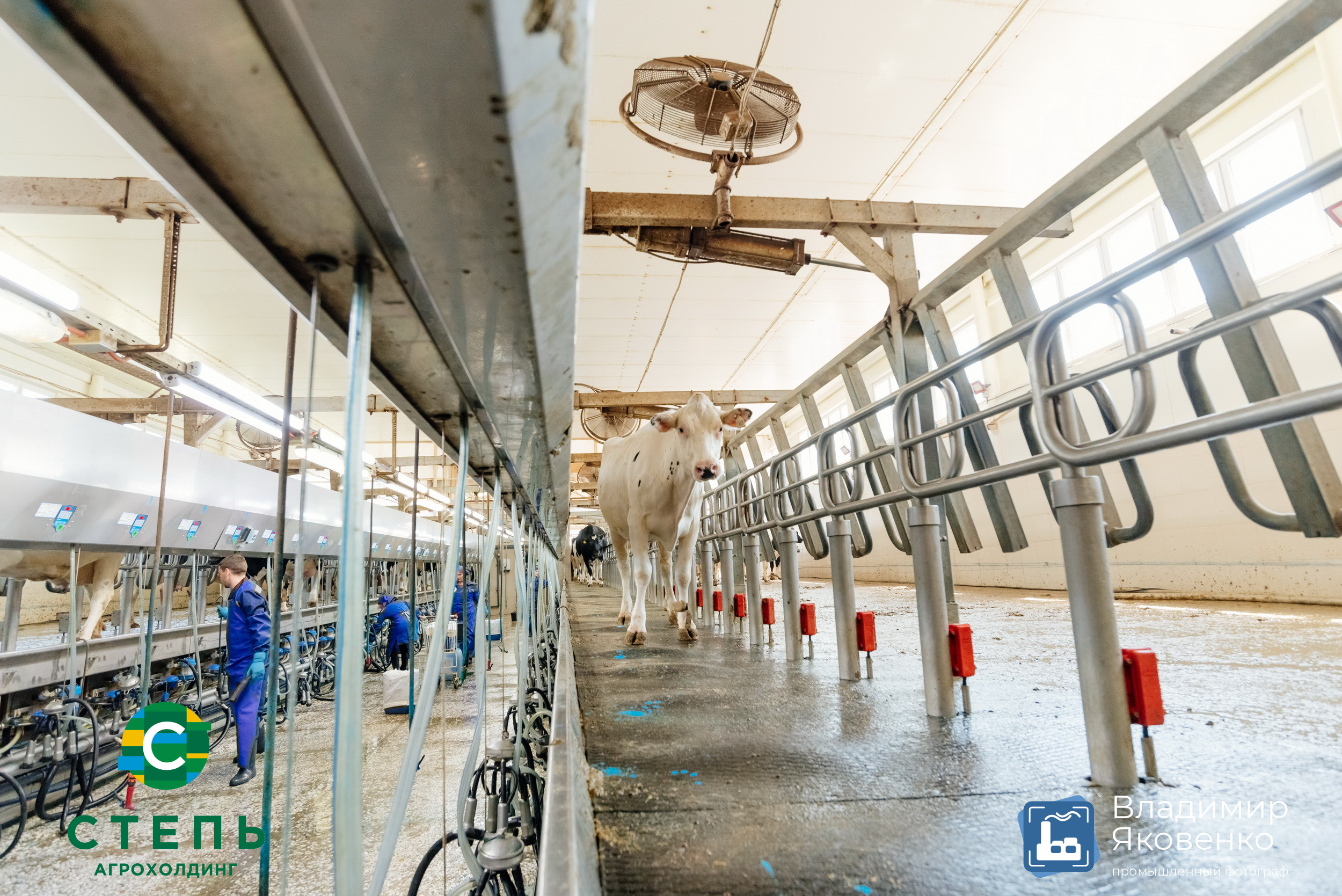 Серия съёмок для агрохолдинга «СТЕПЬ». Промышленный фотограф в Ростовской области Владимир Яковенко