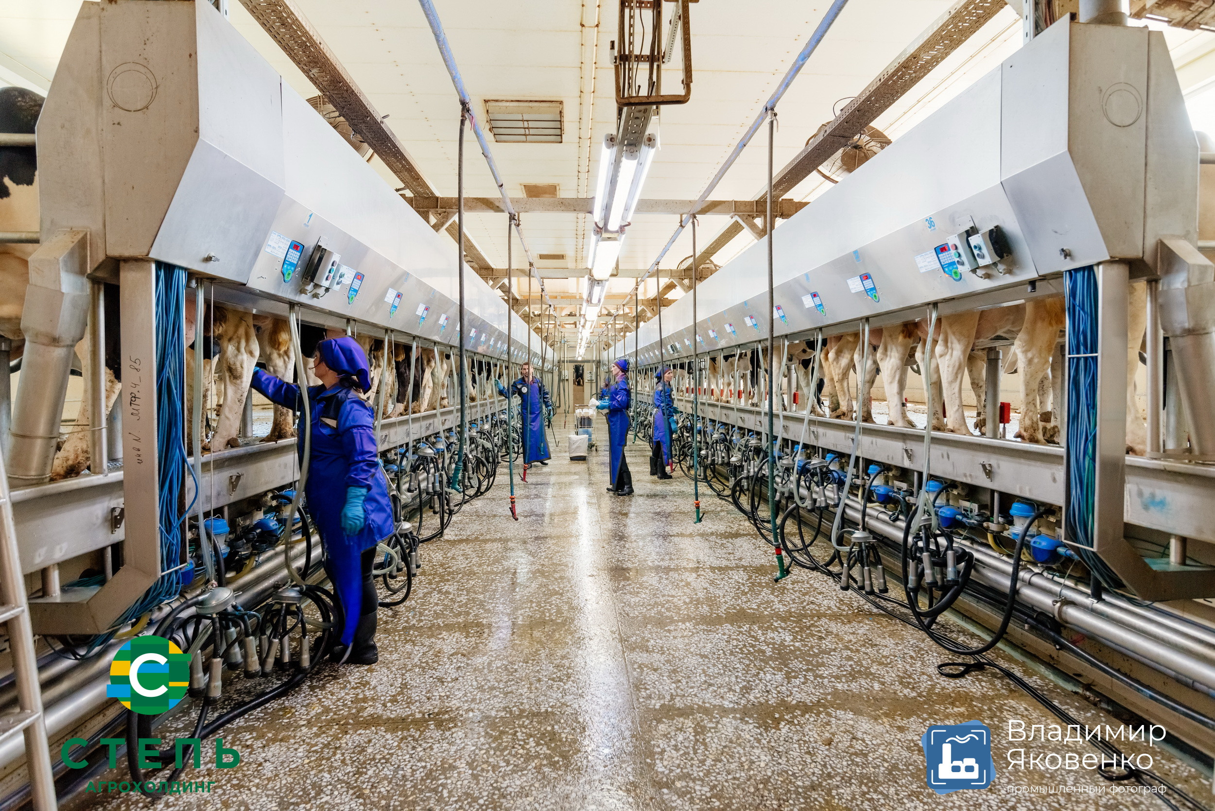 Серия съёмок для агрохолдинга «СТЕПЬ». Промышленный фотограф в Ростовской области Владимир Яковенко