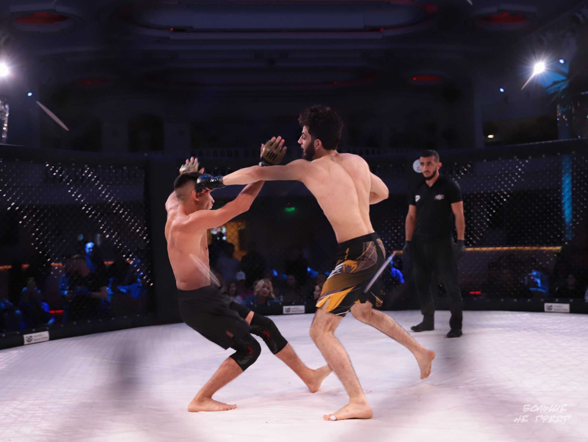 SABR FIGHTING. Больше не греет