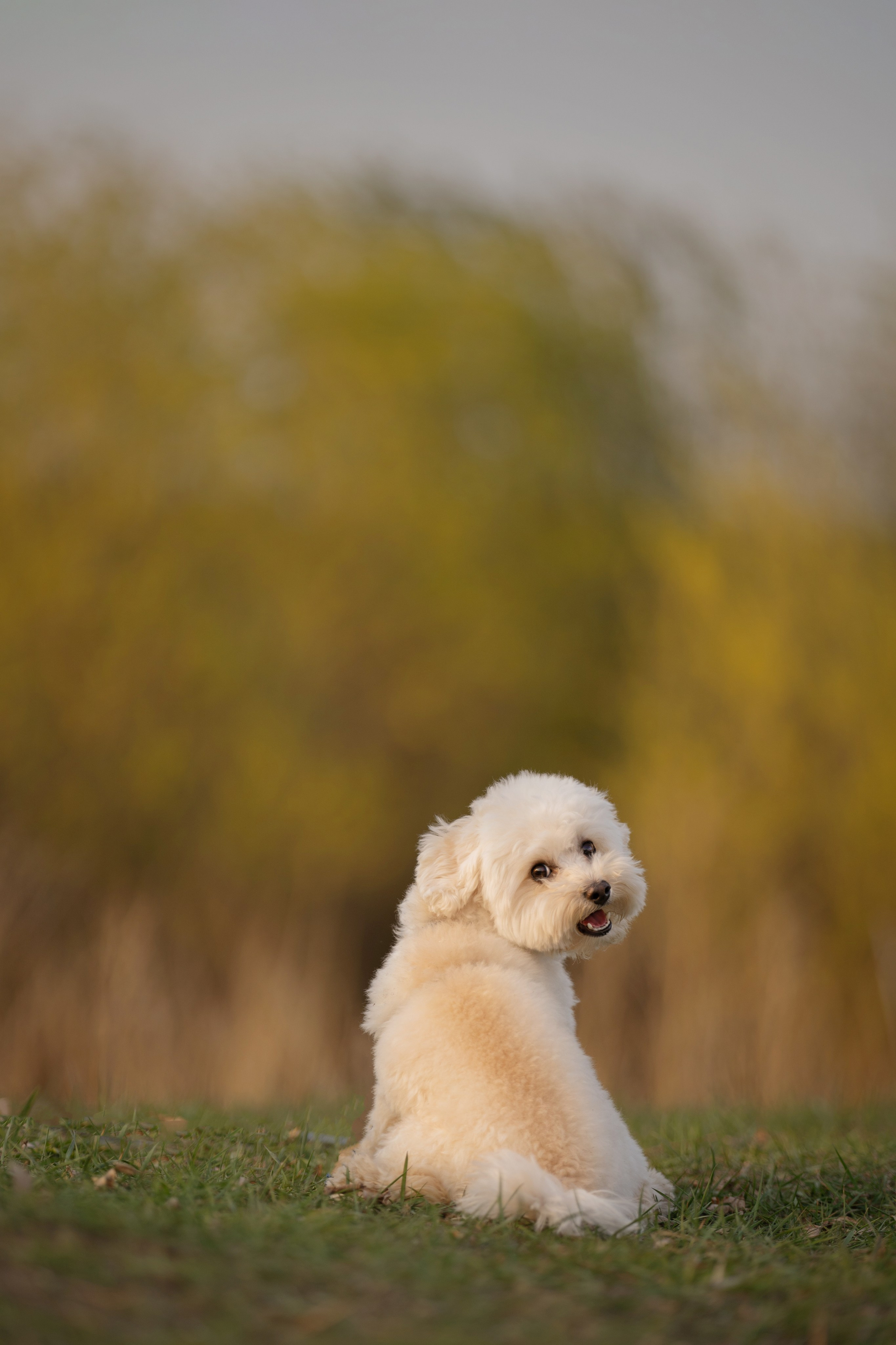 Оксана + Кекс. Kameramotor74