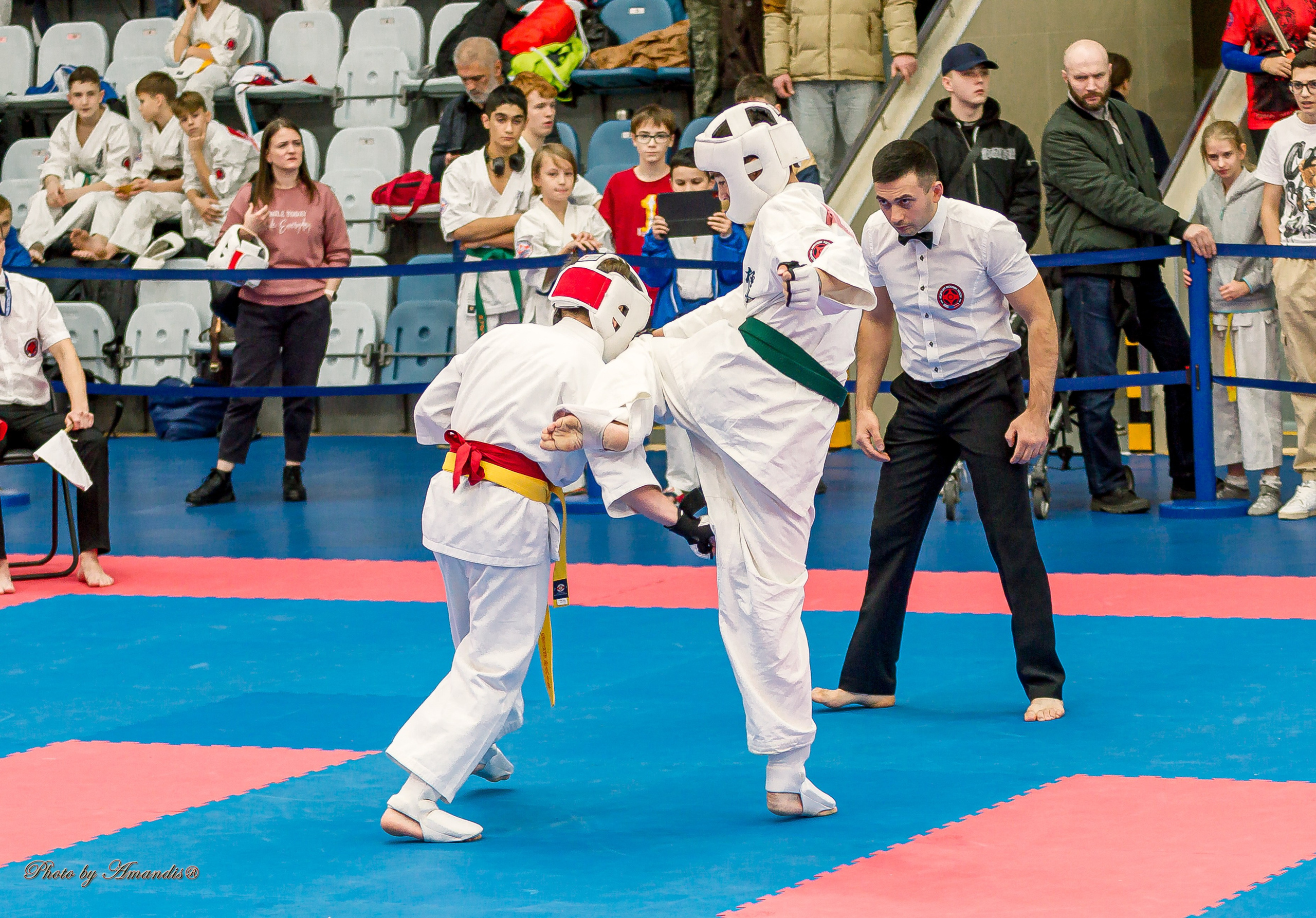 Чемпионат по Киокушинкай Центрального Федерального округа. Репортажная съемка в Москве и области. Анималистика