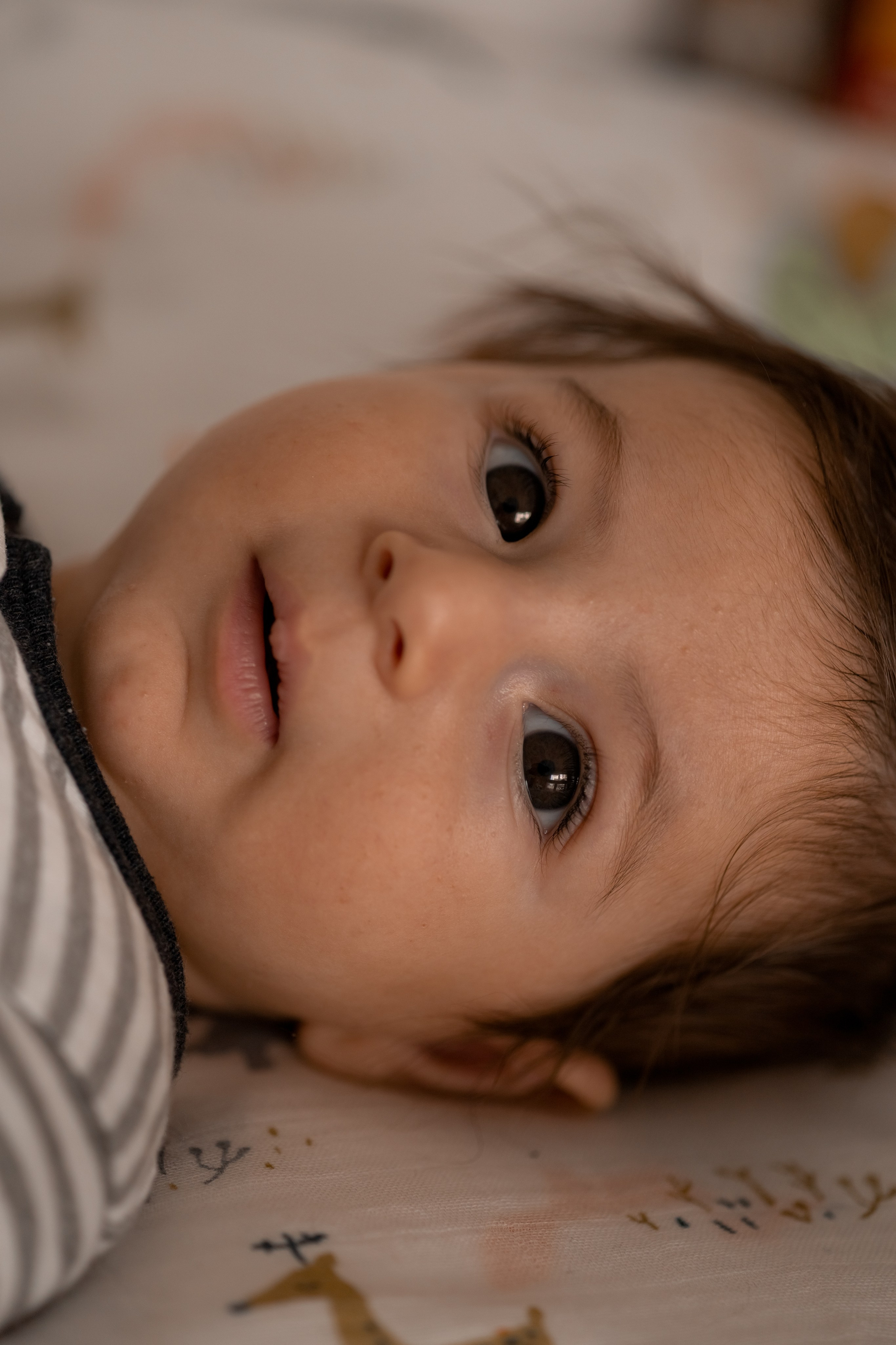 Артур, Лика, Давид. Фотограф беременности и материнства в Москве Мария Менендес-Гонсалес