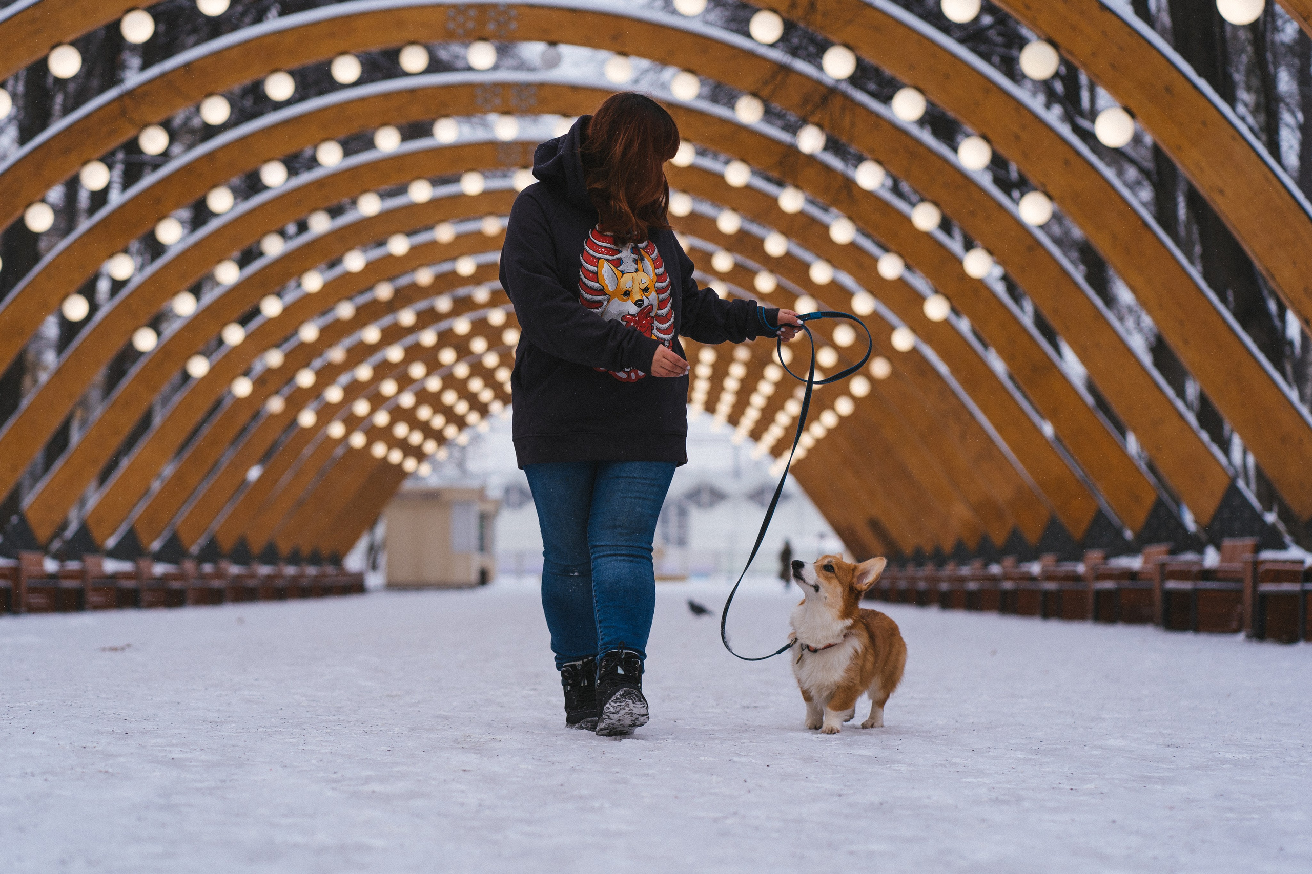 Агата и Лайк. Свадебный фотограф в Москве Анна Полушина