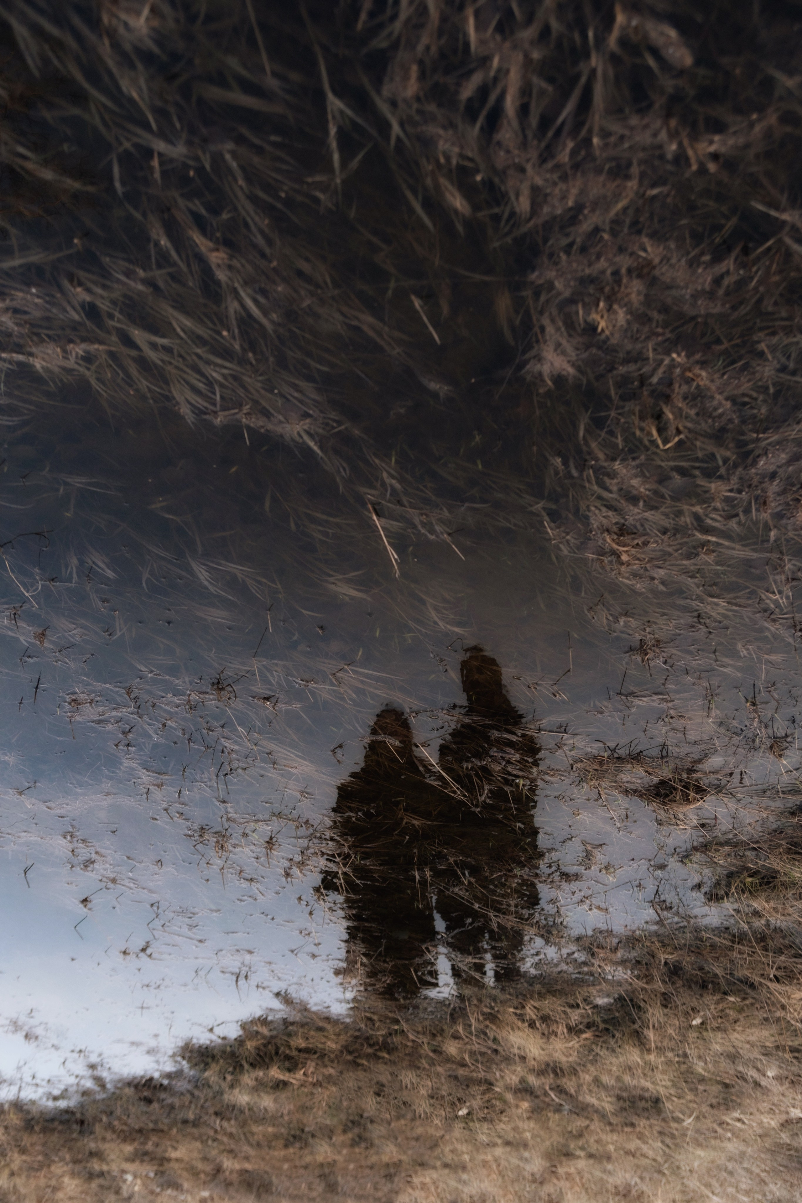 Портфолио. Портретный фотограф из Омска Инна Пономарева