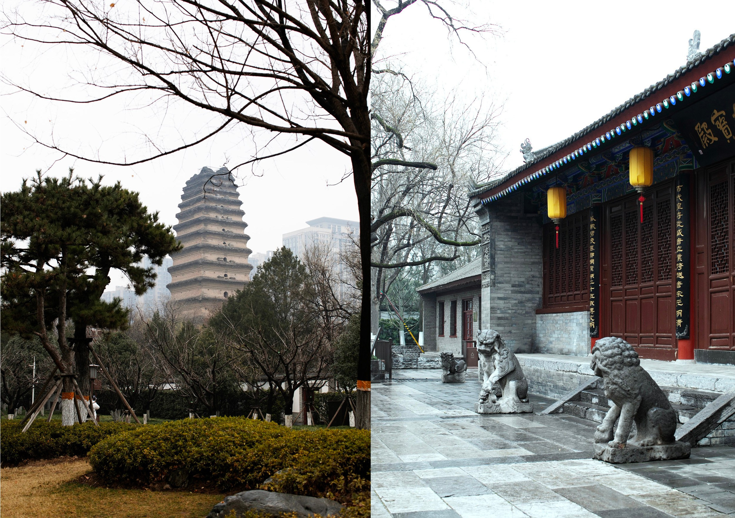 Китай'25: Пекин-Сиань-Шанхай. Фотограф-портретист в Москве