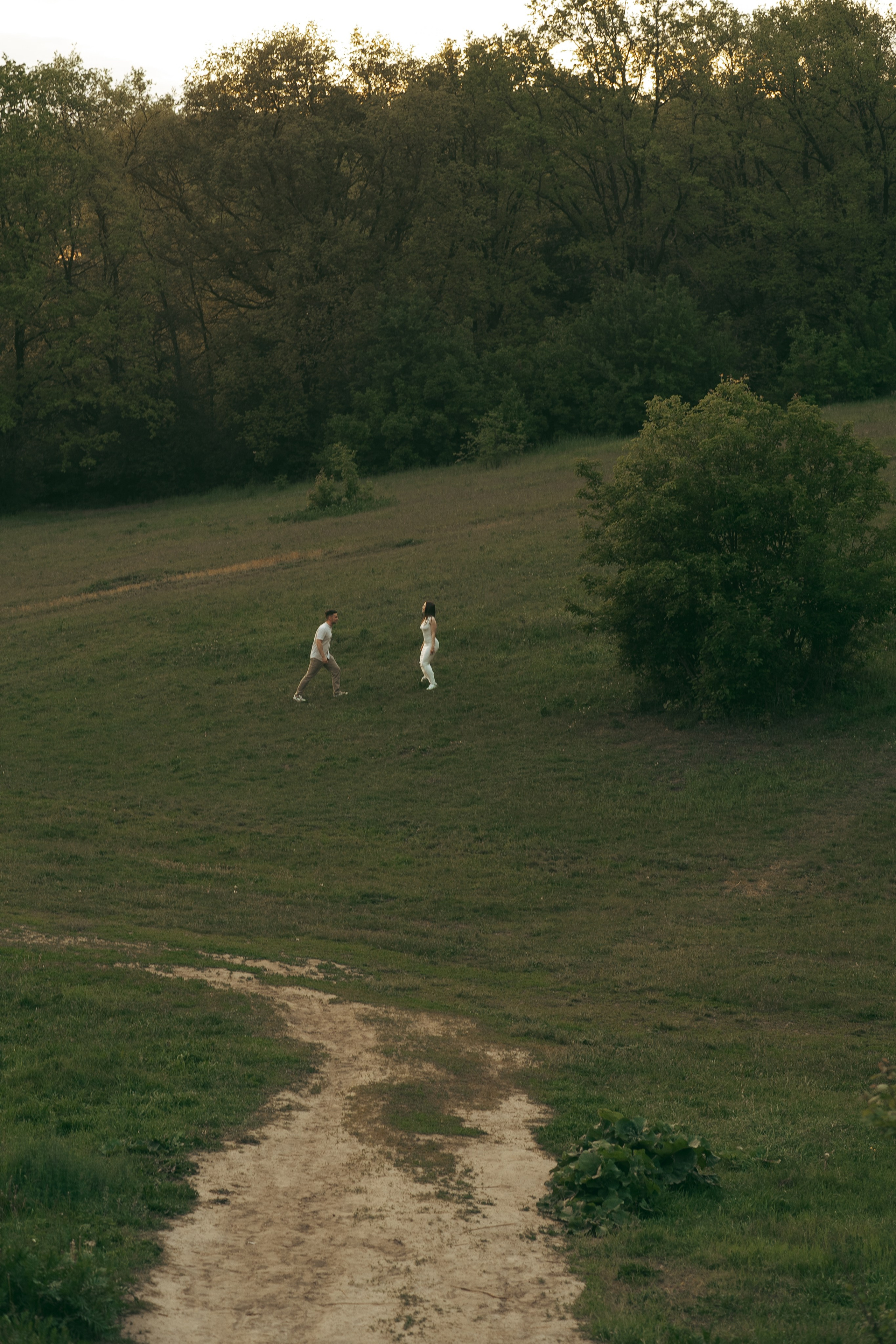 Парк Динамо. Фотограф Мария Зайчик
