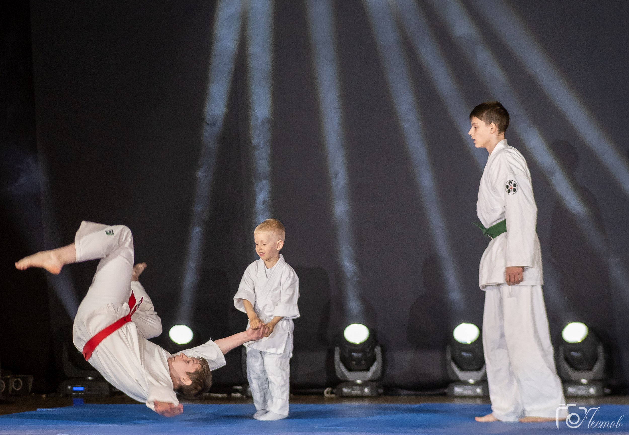 Репортажное портфолио (фото)