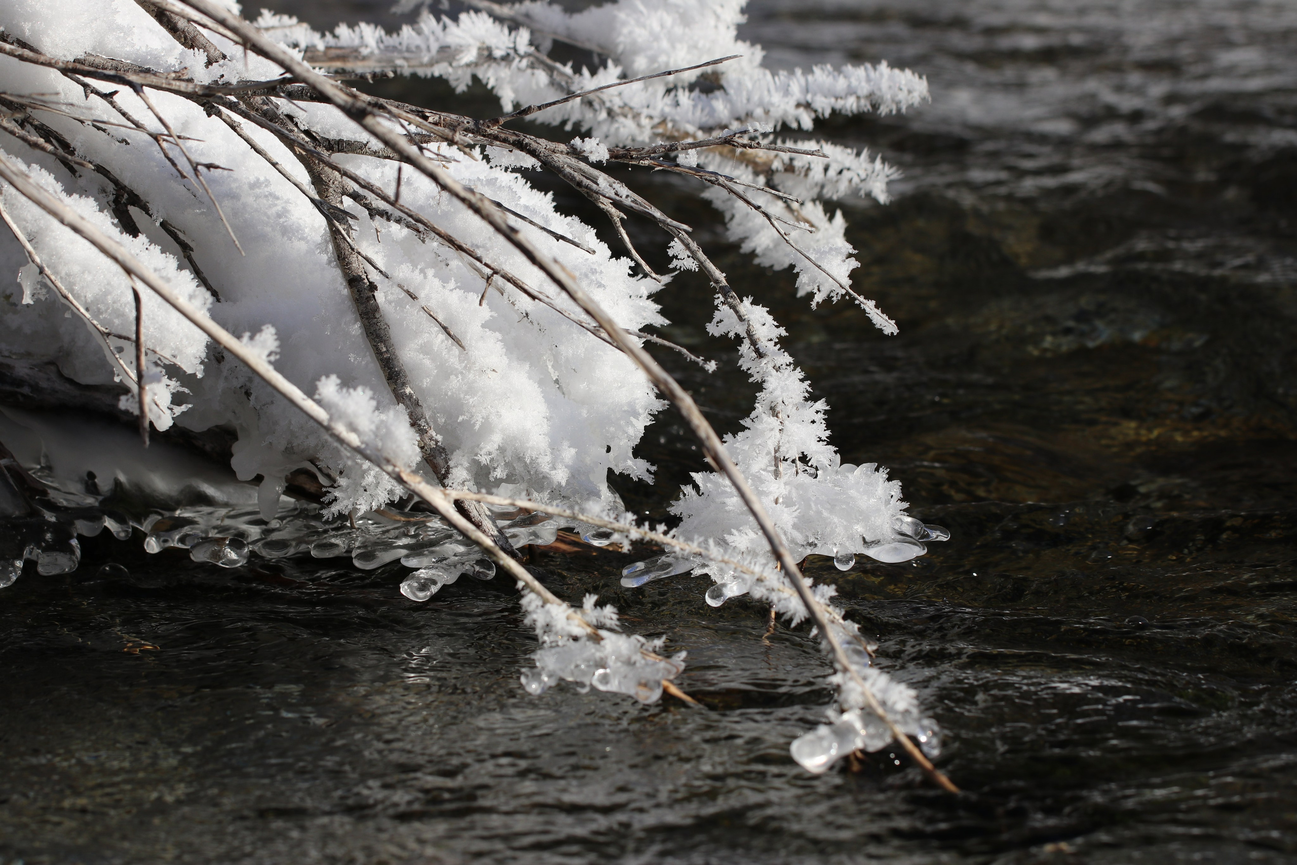 Аршан. Январь 2022. Путешественник-фотограф из Санкт-Петербурга Татьяна Свистулина