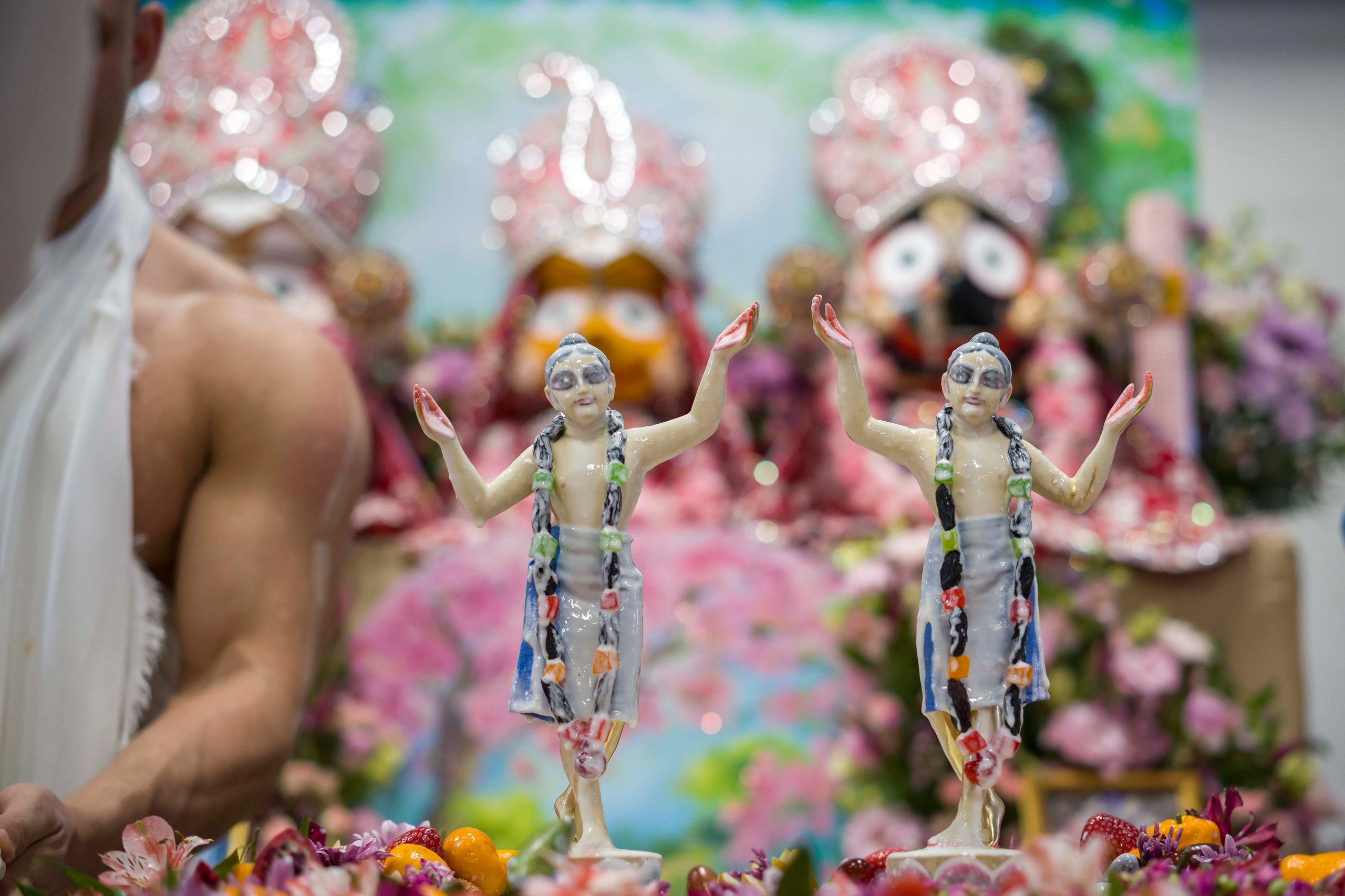 Нитьянанда Трайодаши 2026. Фотограф в Санкт-Петербурге. Репортажная и все съёмки для бизнеса