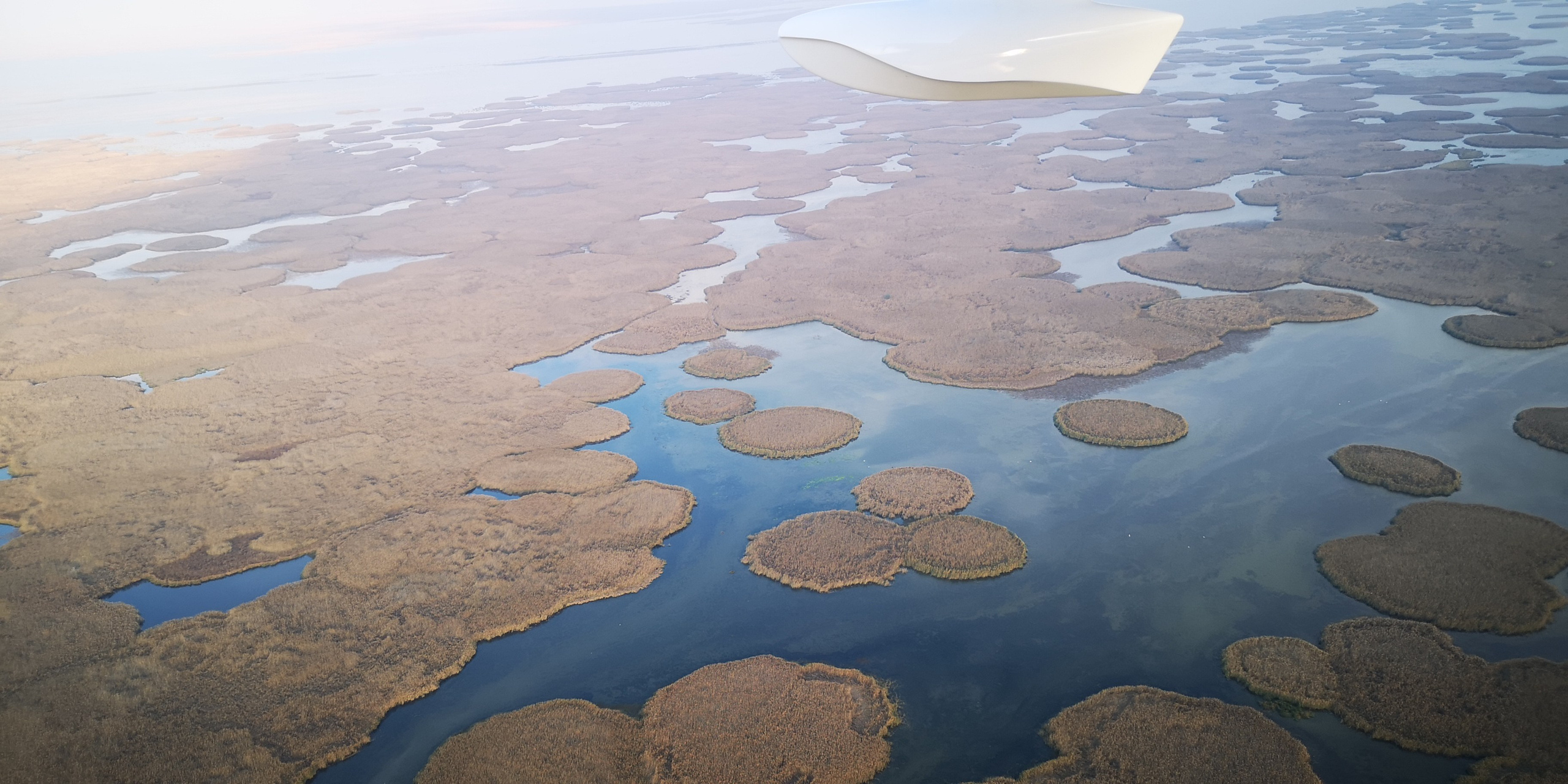 Каспийское море (наука на Ла-8) (2021 г.). Фотоальбом показывающий увлекательный мир авиации и мир медведей Андрея Иванова