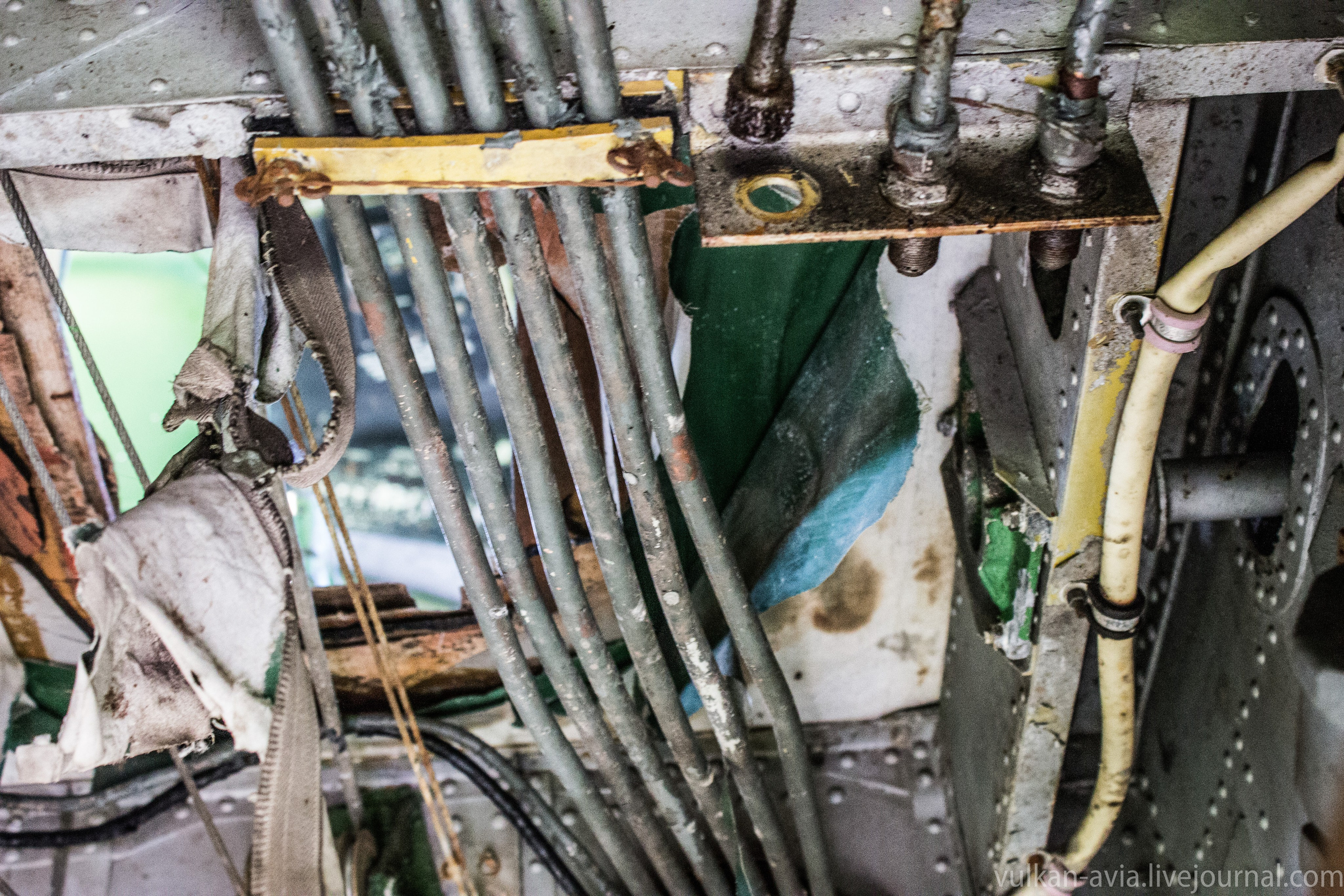 Ил-14 (Пермь, Фролы). Фотоальбом показывающий увлекательный мир авиации и мир медведей Андрея Иванова