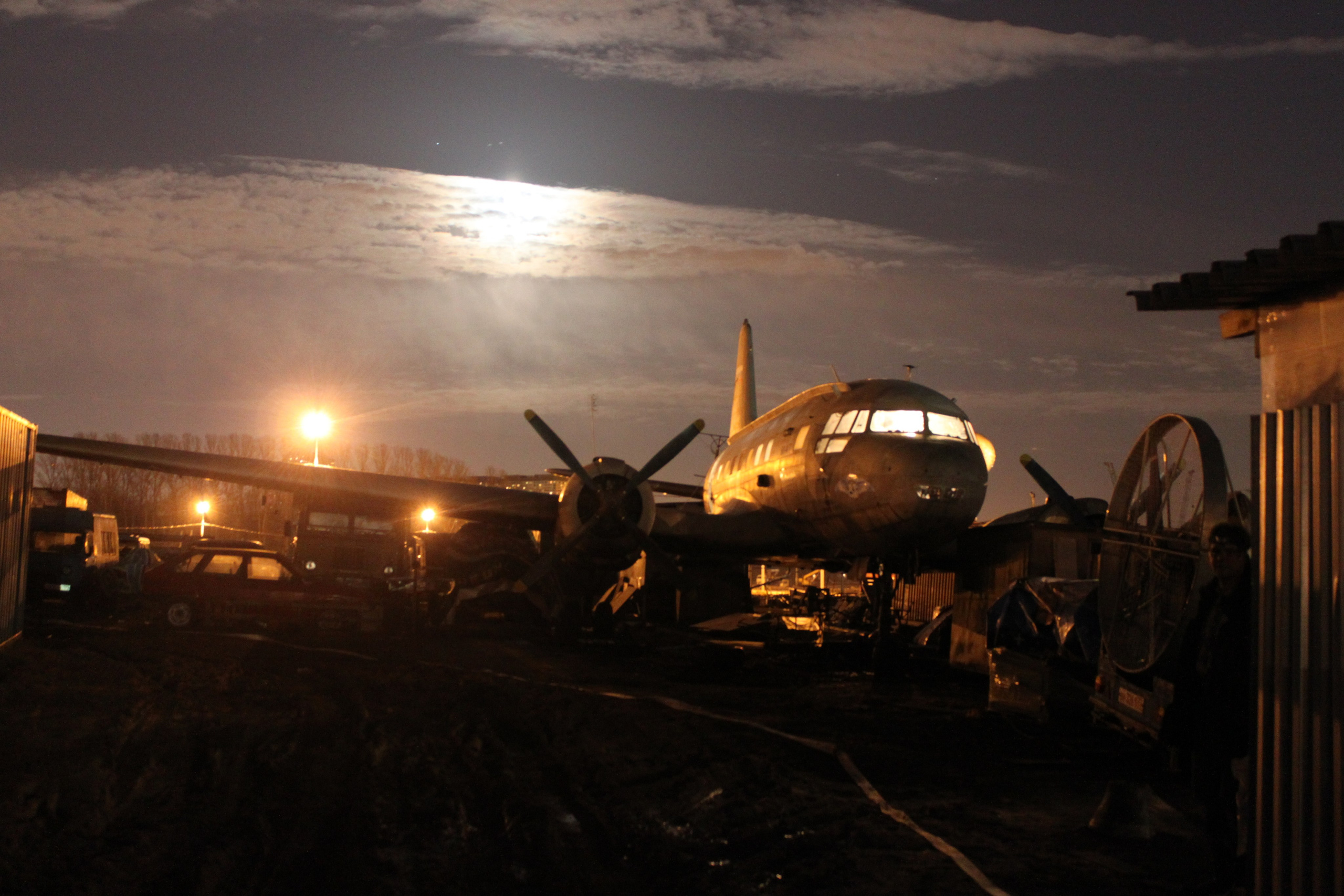 Ил-14Т «Голубая Мечта» работы в Тушино (2011 г.). Фотоальбом показывающий увлекательный мир авиации и мир медведей Андрея Иванова