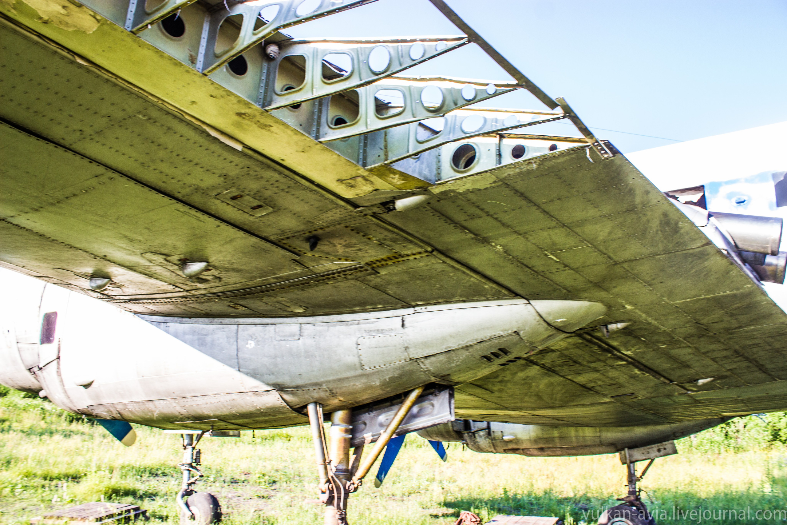 Ил-14 (Пермь, Фролы). Фотоальбом показывающий увлекательный мир авиации и мир медведей Андрея Иванова