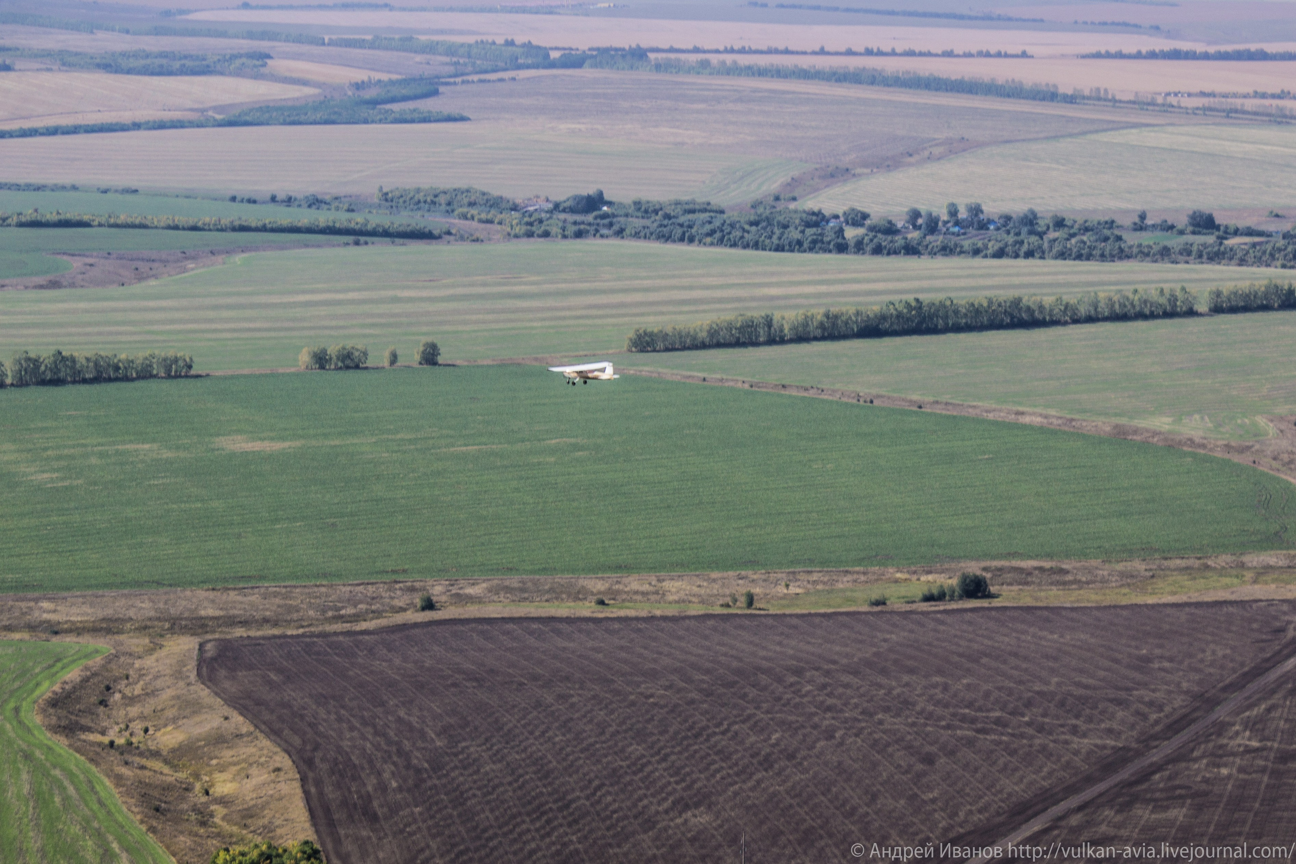 Волгодонск аэр. Потапов слёт «Небо для всех» (2021 г.). Фотоальбом показывающий увлекательный мир авиации и мир медведей Андрея Иванова