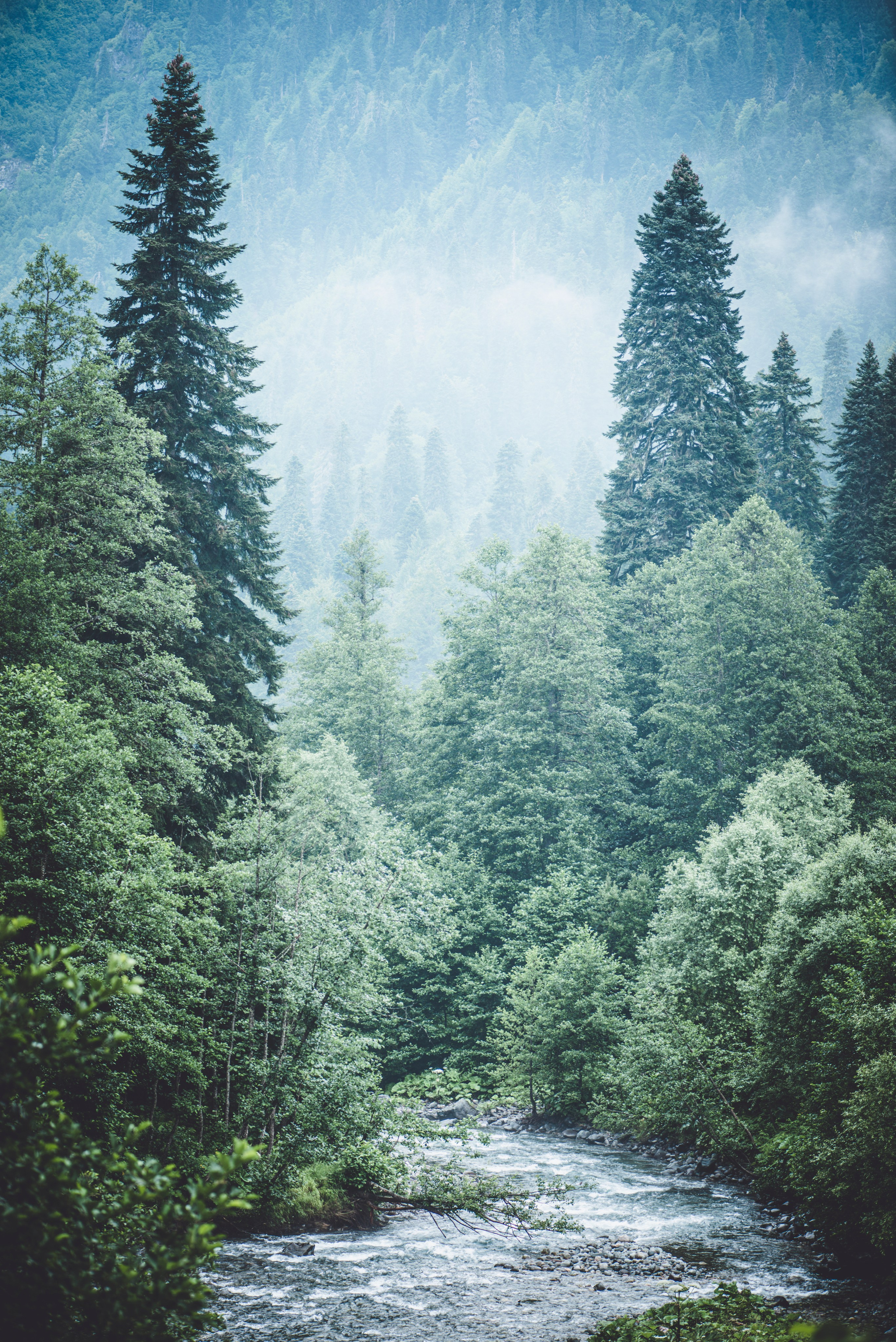 Стрит фото. Беличкин Михаил. Портретный и предметный фотограф в городе Тольятти