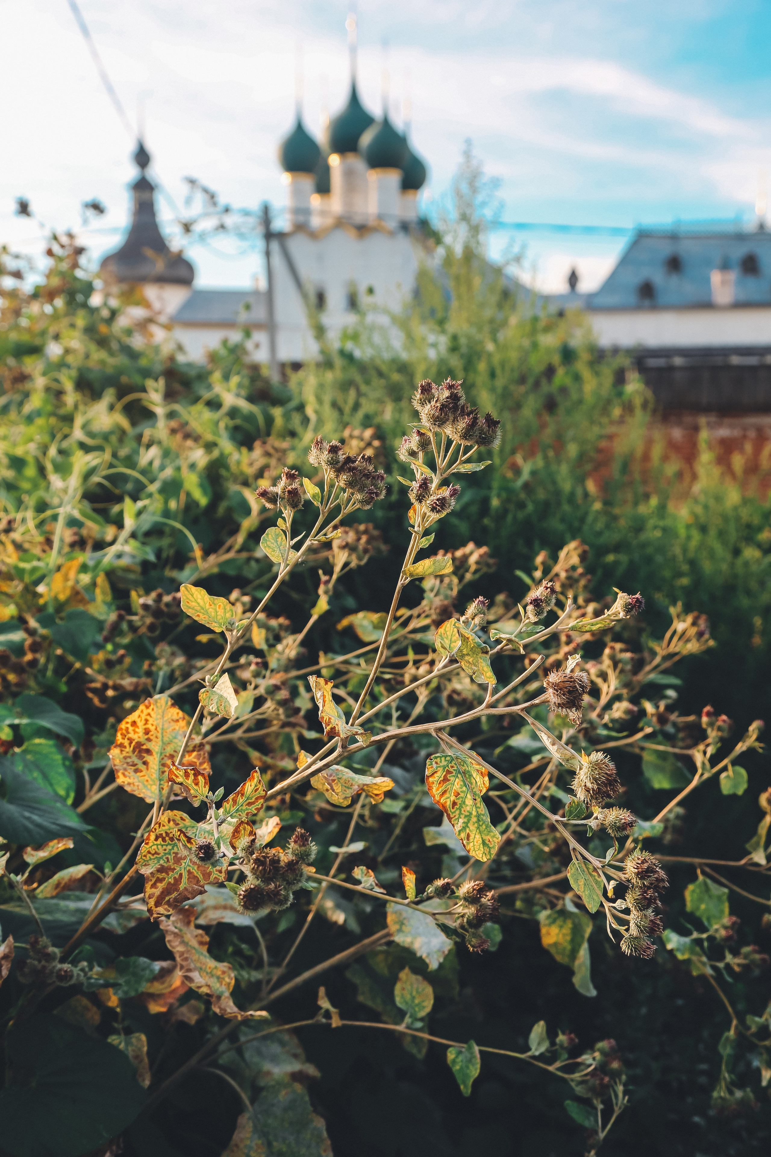 Ростов Великий. Дарья Письменюк / Darya Leitstern — фотограф, музыкант, журналист, путешественник