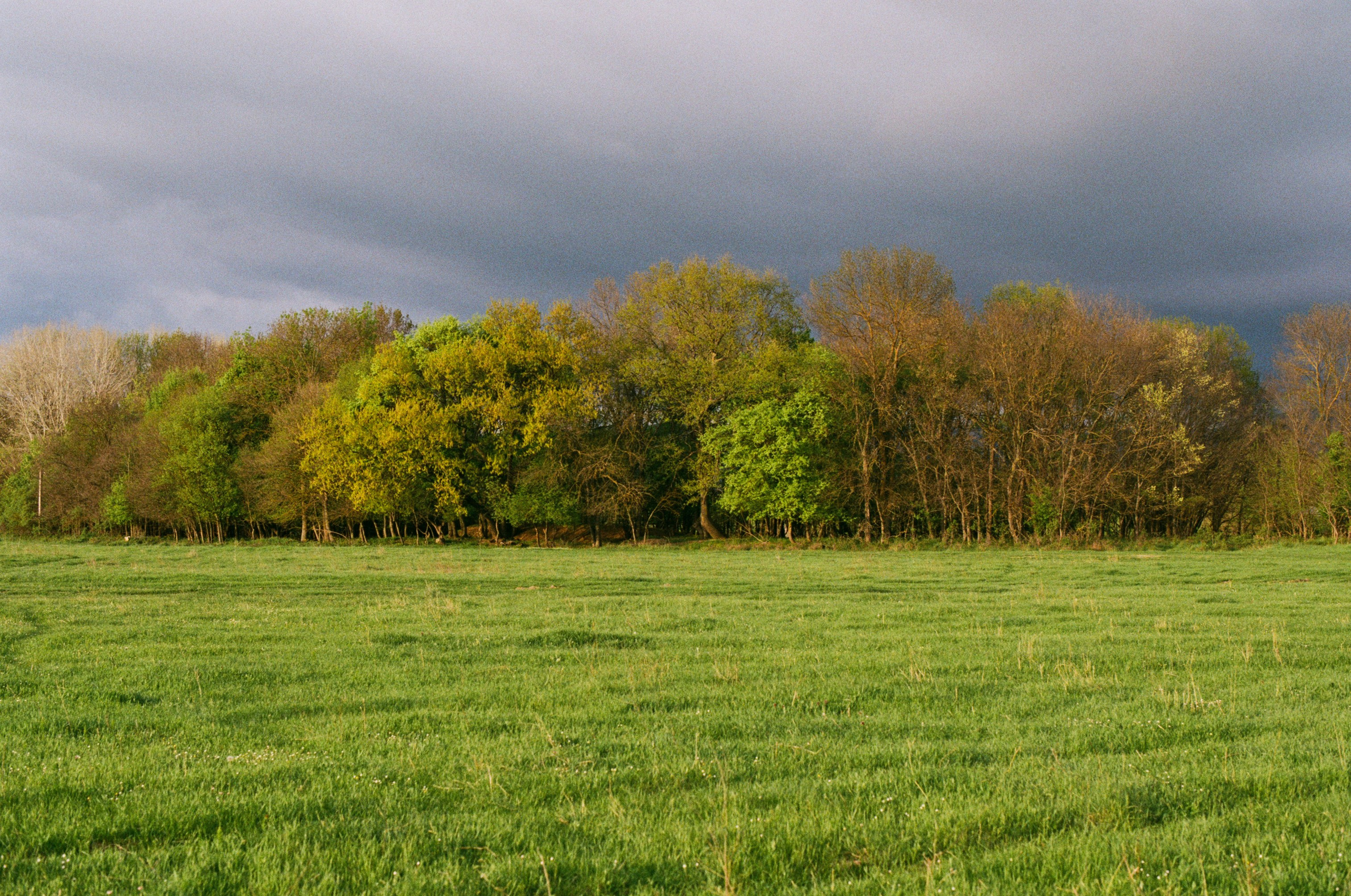 Follow you // ukraine, crimea III. EVER EXPOSED