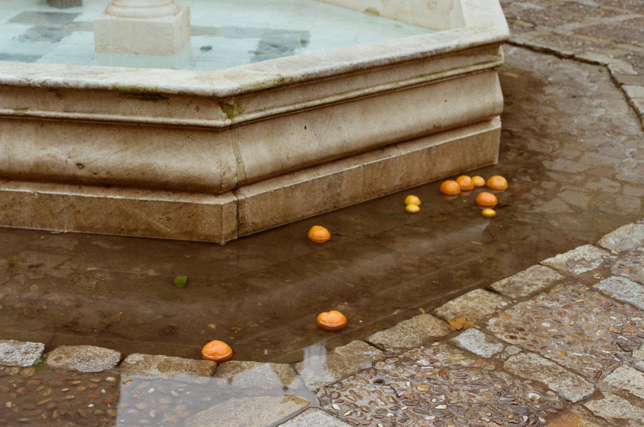 Spanish sahara // spain, seville. EVER EXPOSED