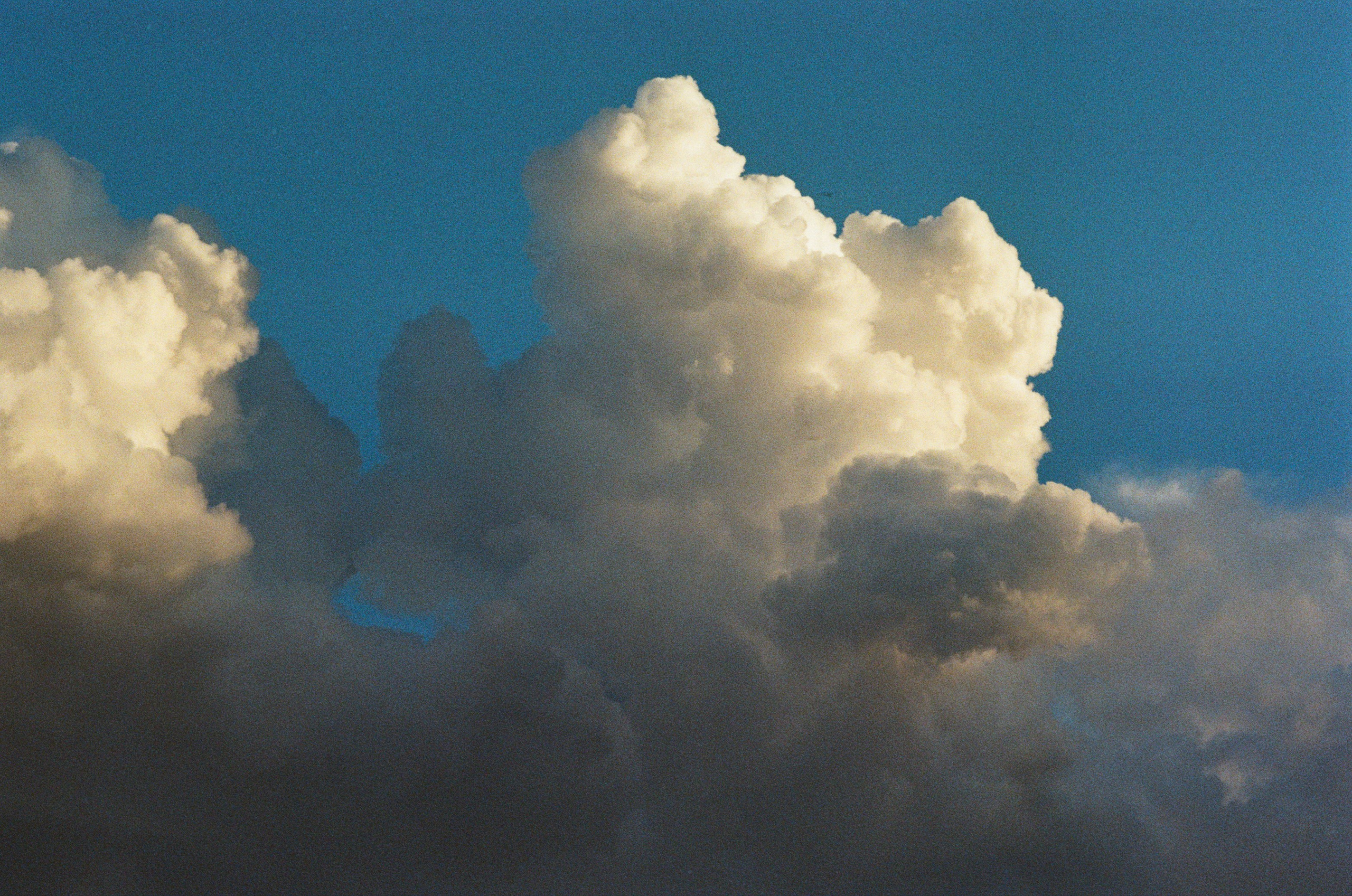 Silence is also an answer // corsica V. EVER EXPOSED