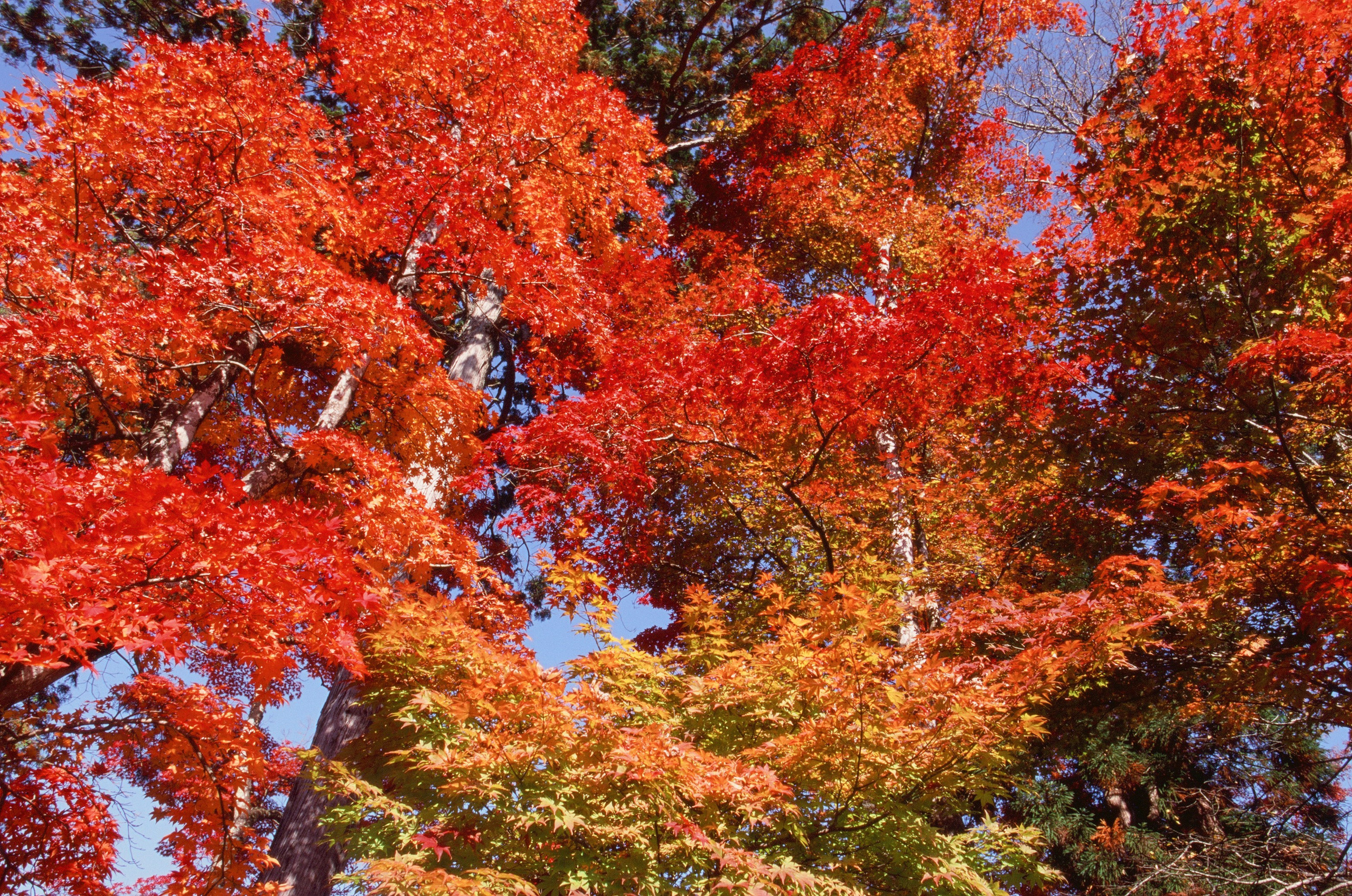Out of noise // japan, takayama III. EVER EXPOSED