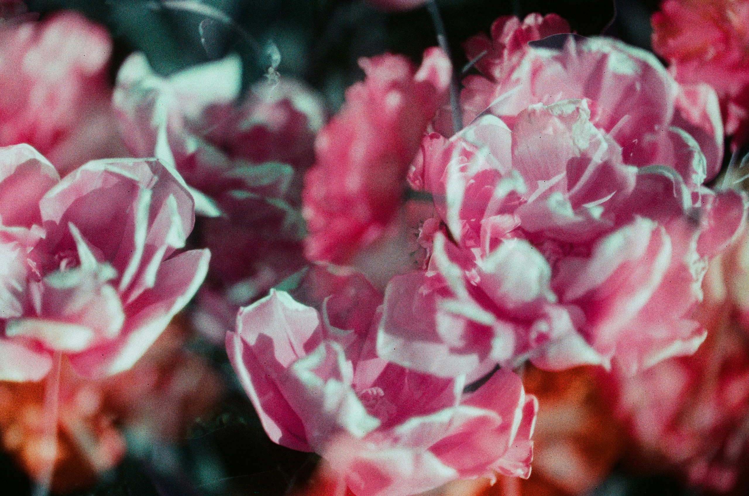 Press enter to exit // ukraine, crimea X. EVER EXPOSED