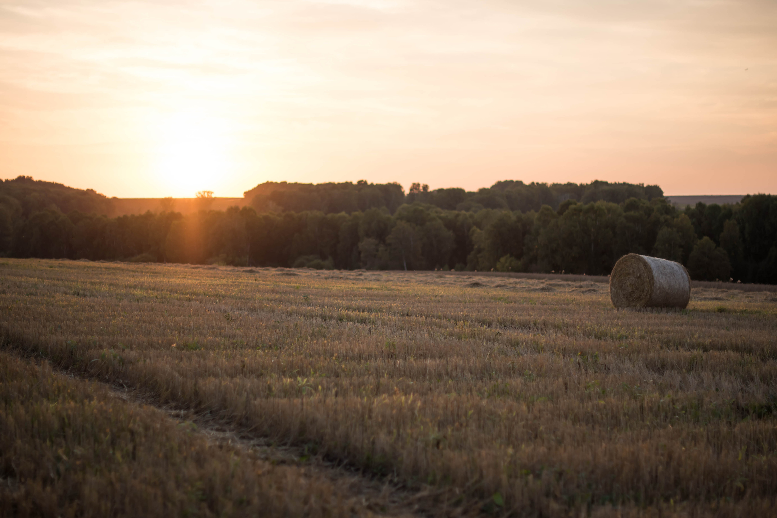 Детский и семейный фотограф в Новокузнецке Наталья Сорокина