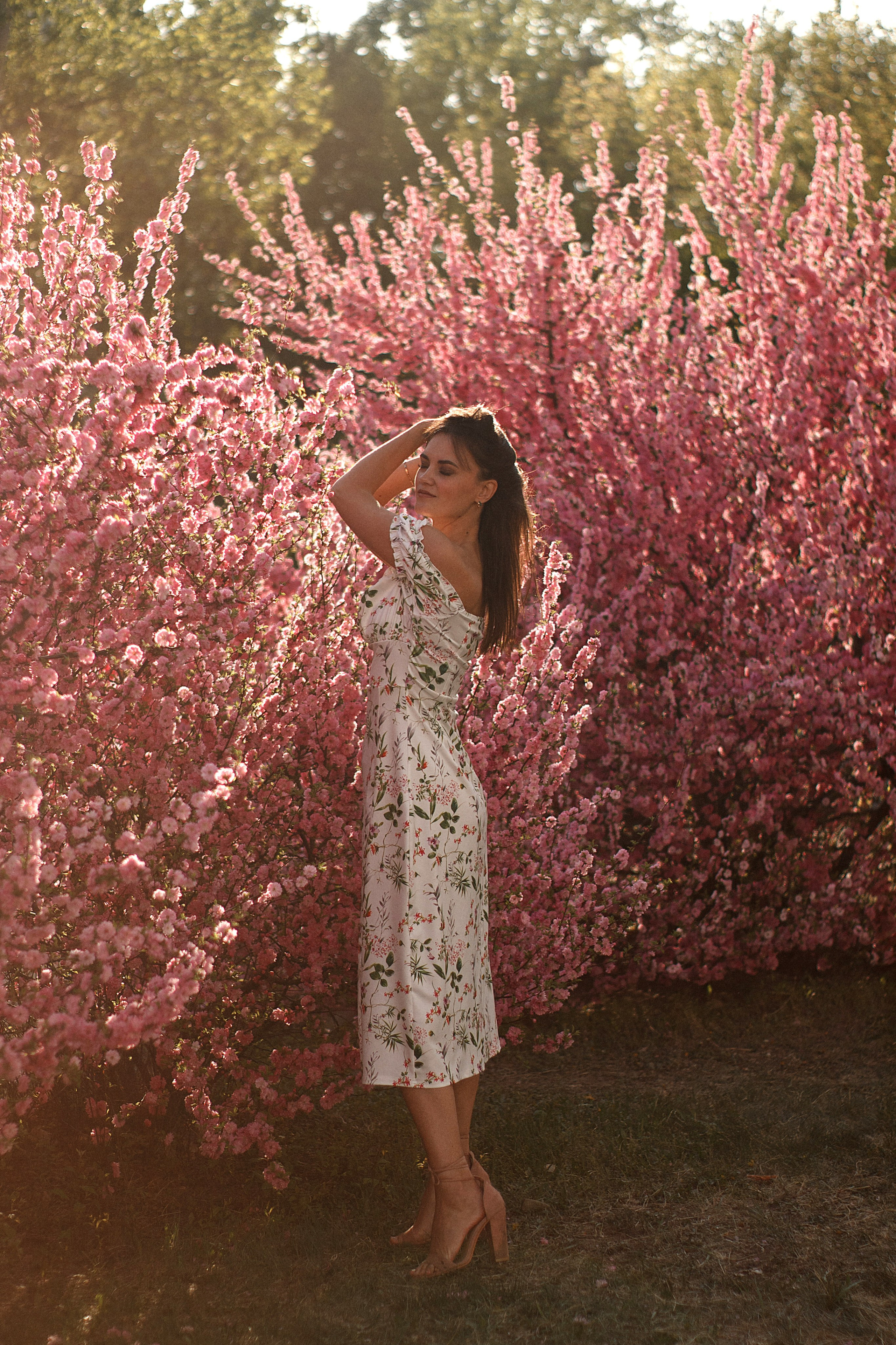 Съёмки в цветении. Медиа-продюсер и фотограф Сорокина Кристина г. Благовещенск