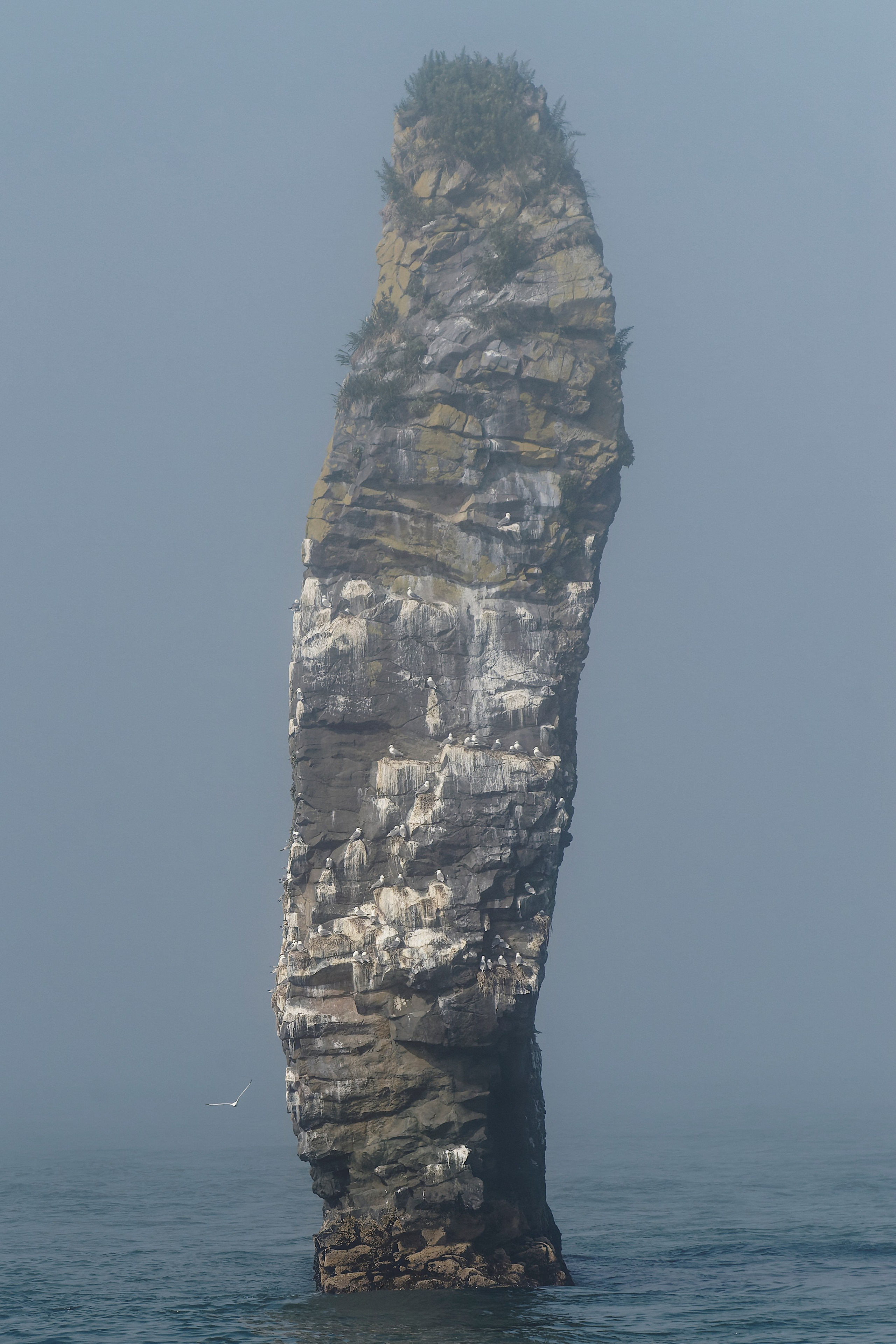 Камчатка. Фототрип. Тур?. Семоха Валерий. Фотограф