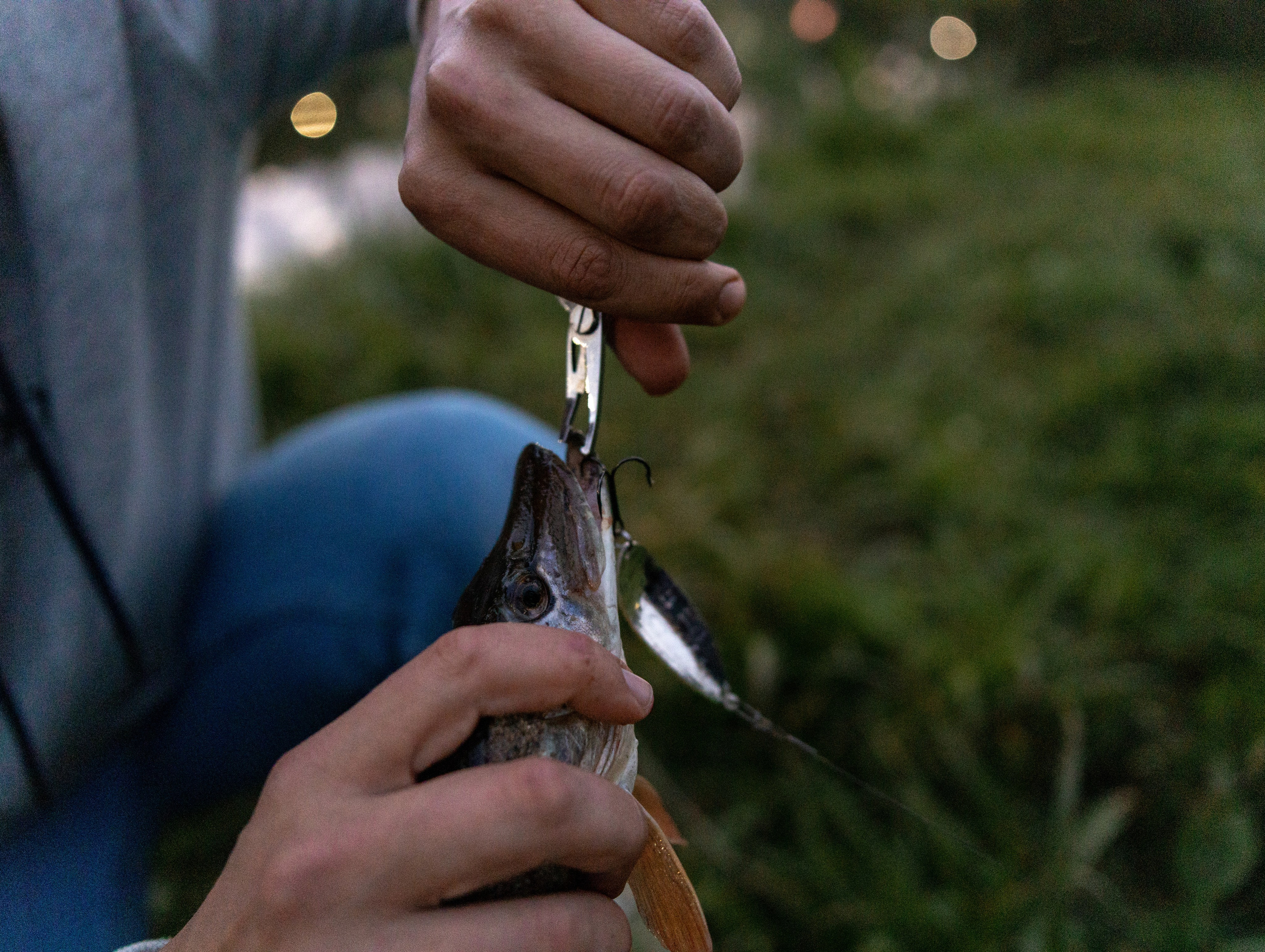 Арсений. Семейный и детский фотограф в Обнинске Анастасия Улитко