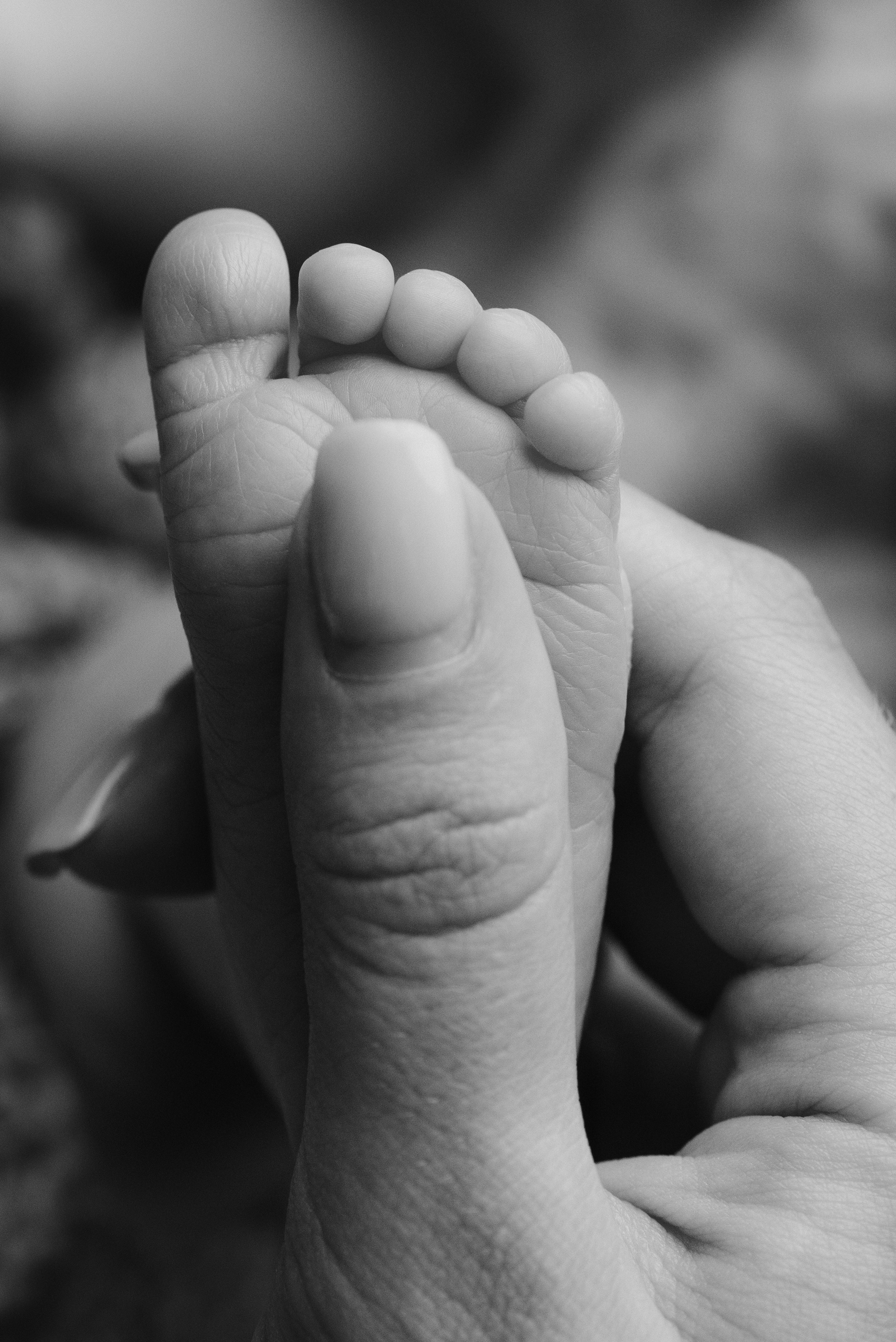 Макро. Фотограф Новорожденных во Владивостоке Ольга Галаницкая