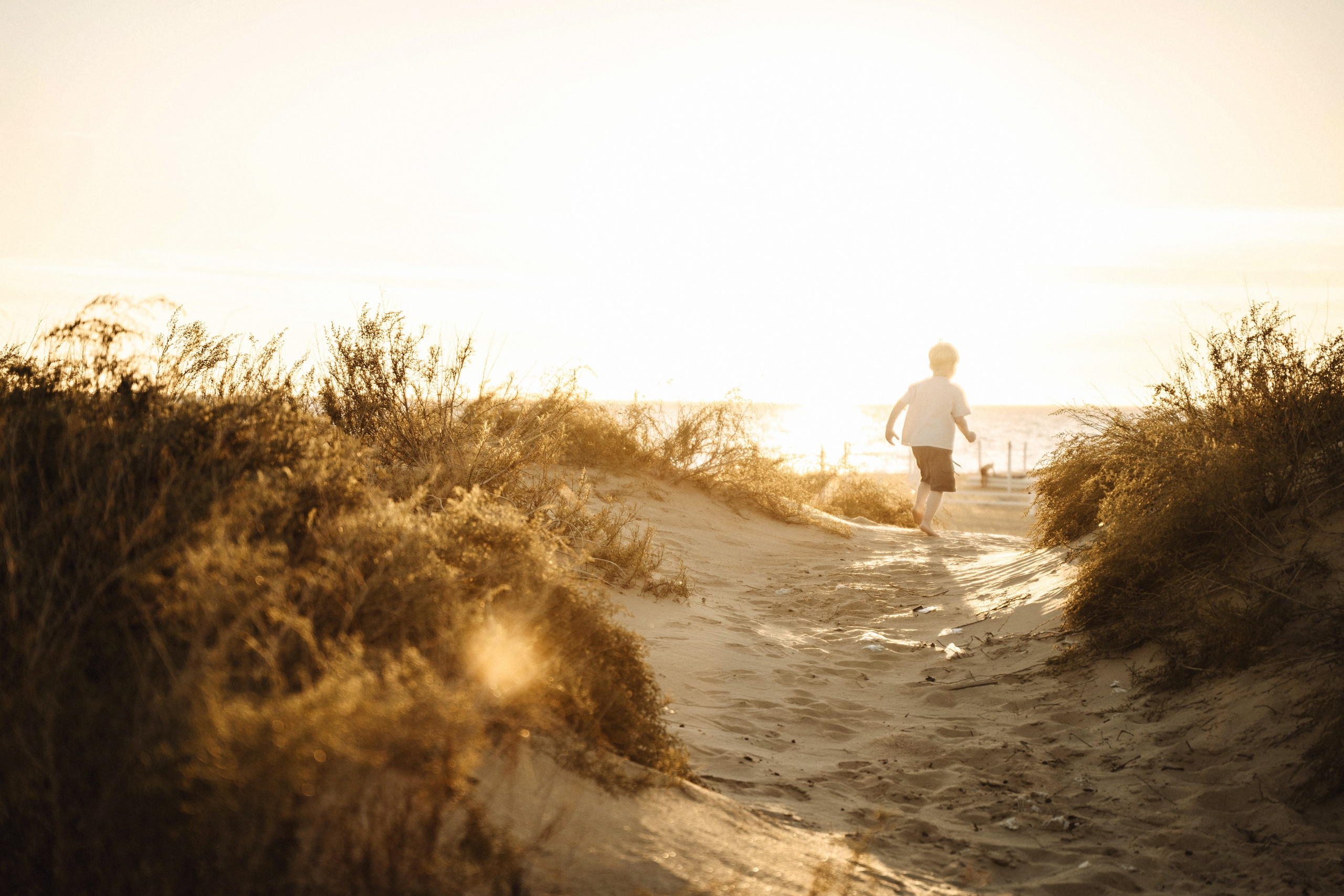 Вики и Стив у моря. Фотограф в Анапе Татьяна Тагель: свадебные и семейные фотосессии
