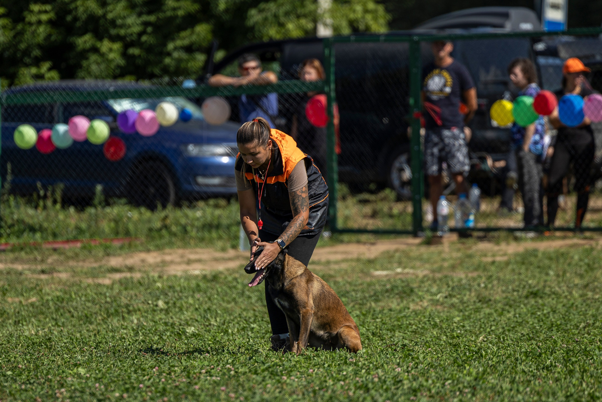Соревнования по Мондьорингу г. Вологда 10-11.08.2024. Фотограф-анималист Анна Маринич