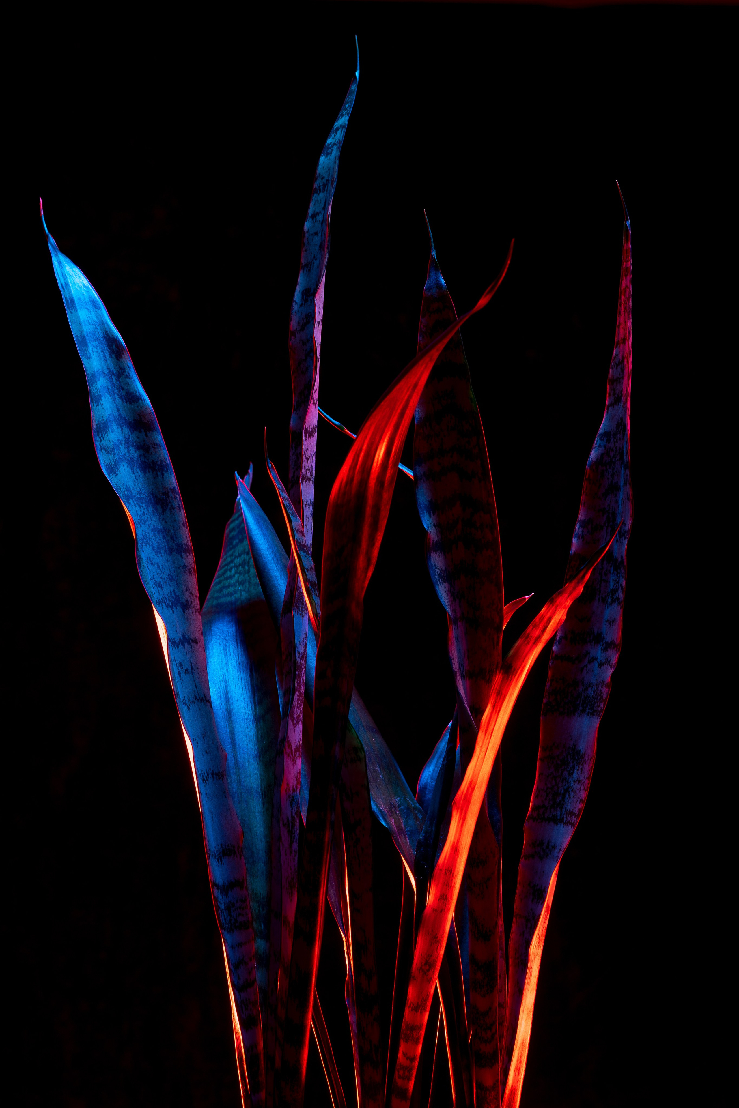 ПРЕДМЕТНАЯ. Никита Аничкин фото и видео оператор из России