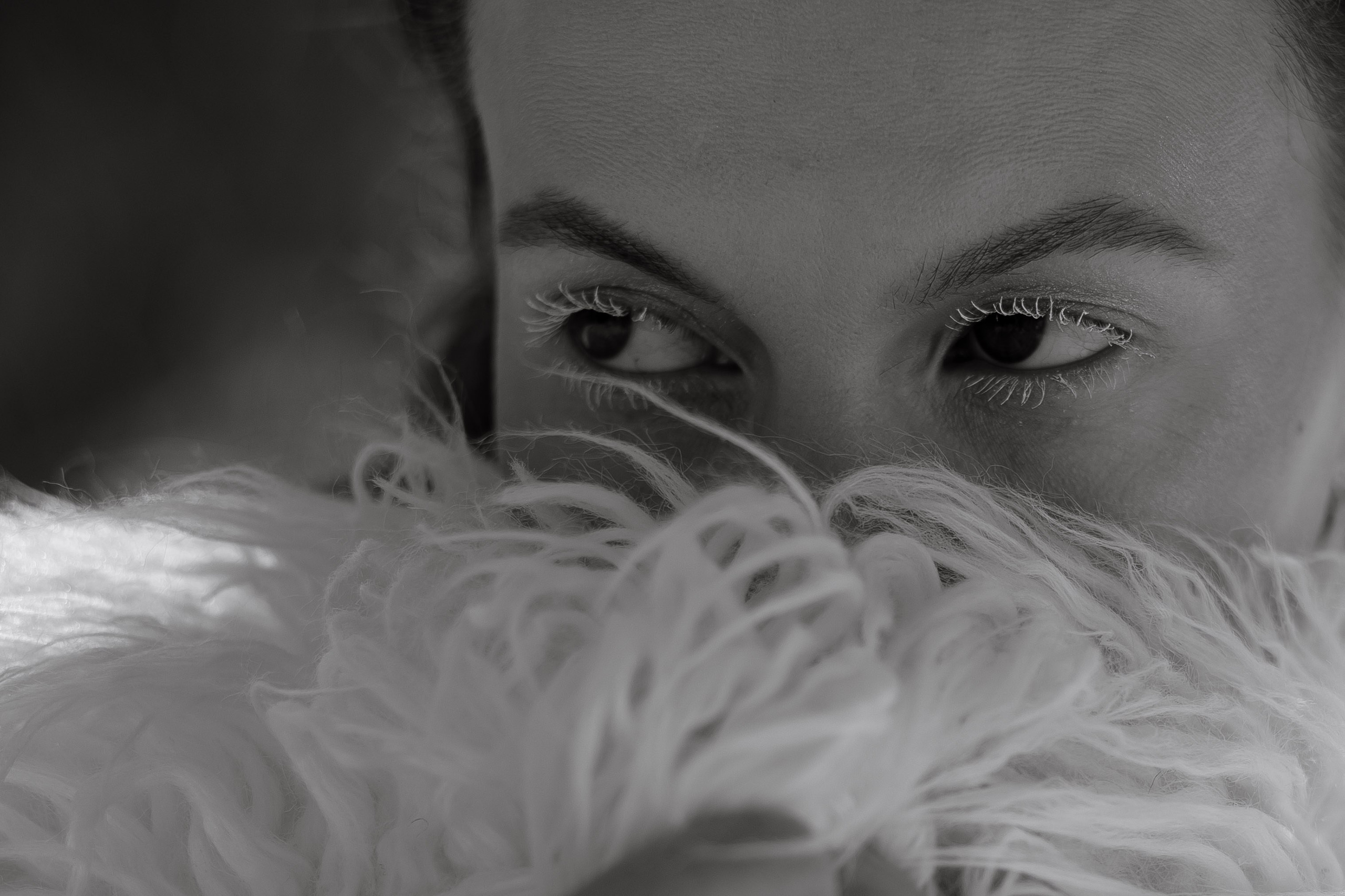 FROSED. Кто мы?