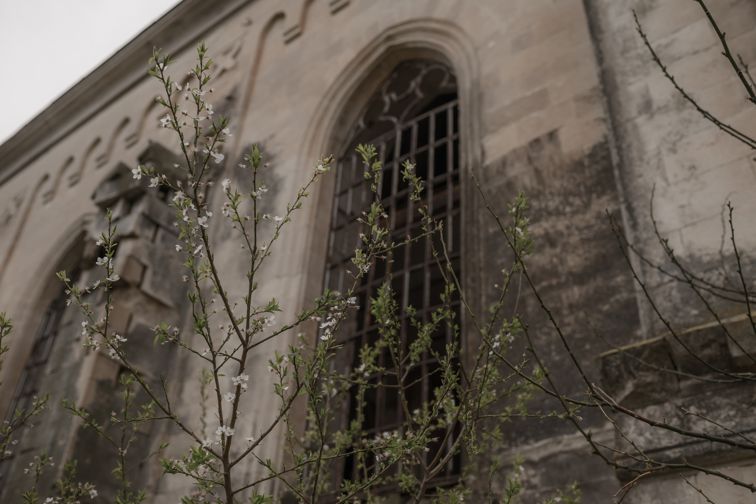 Костёл Сердца Иисуса Христа. Свадебный фотограф Анна Хочева