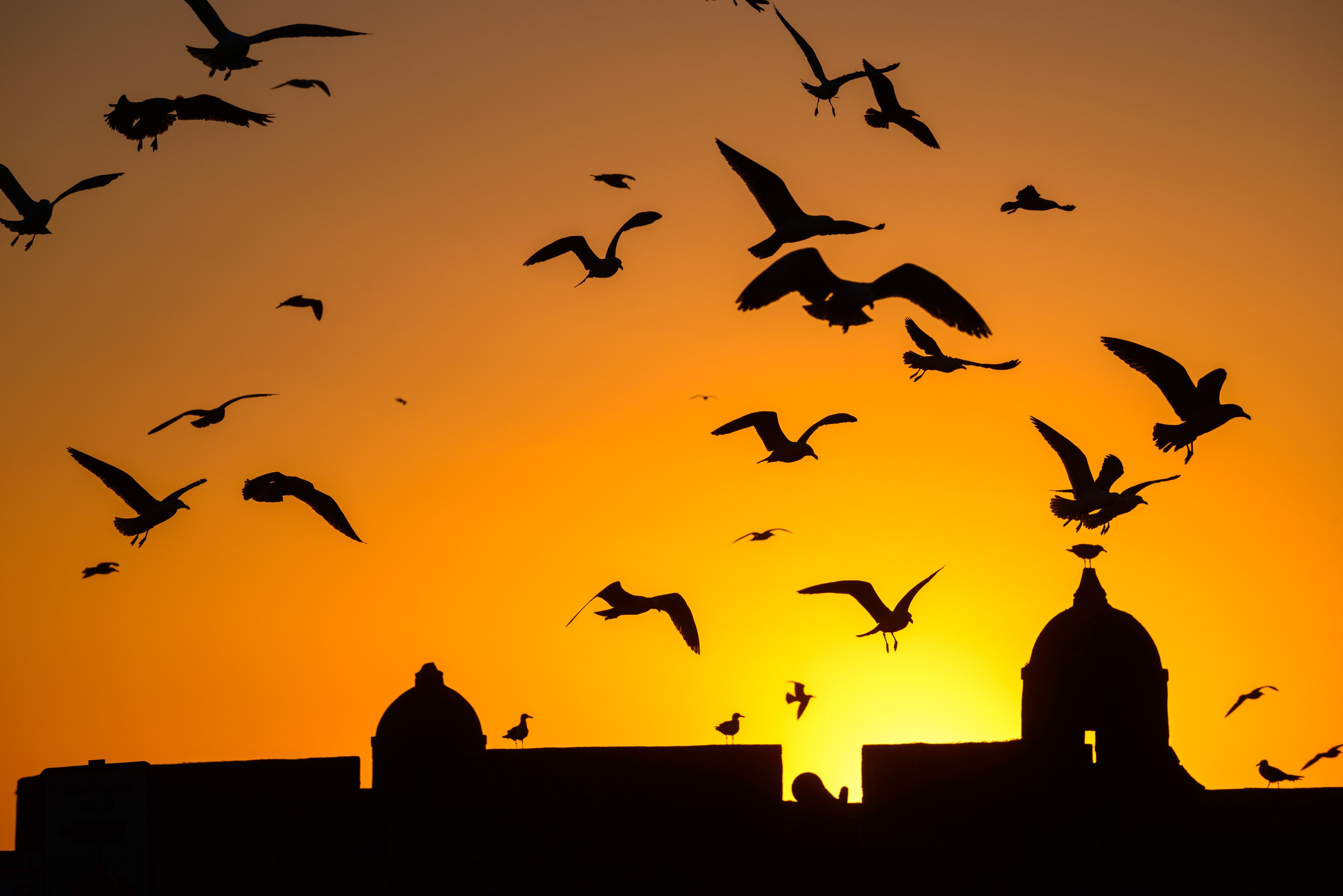 Страна заходящего Солнца. Пейзажный фотограф Сергей Пестерев. Фото природы